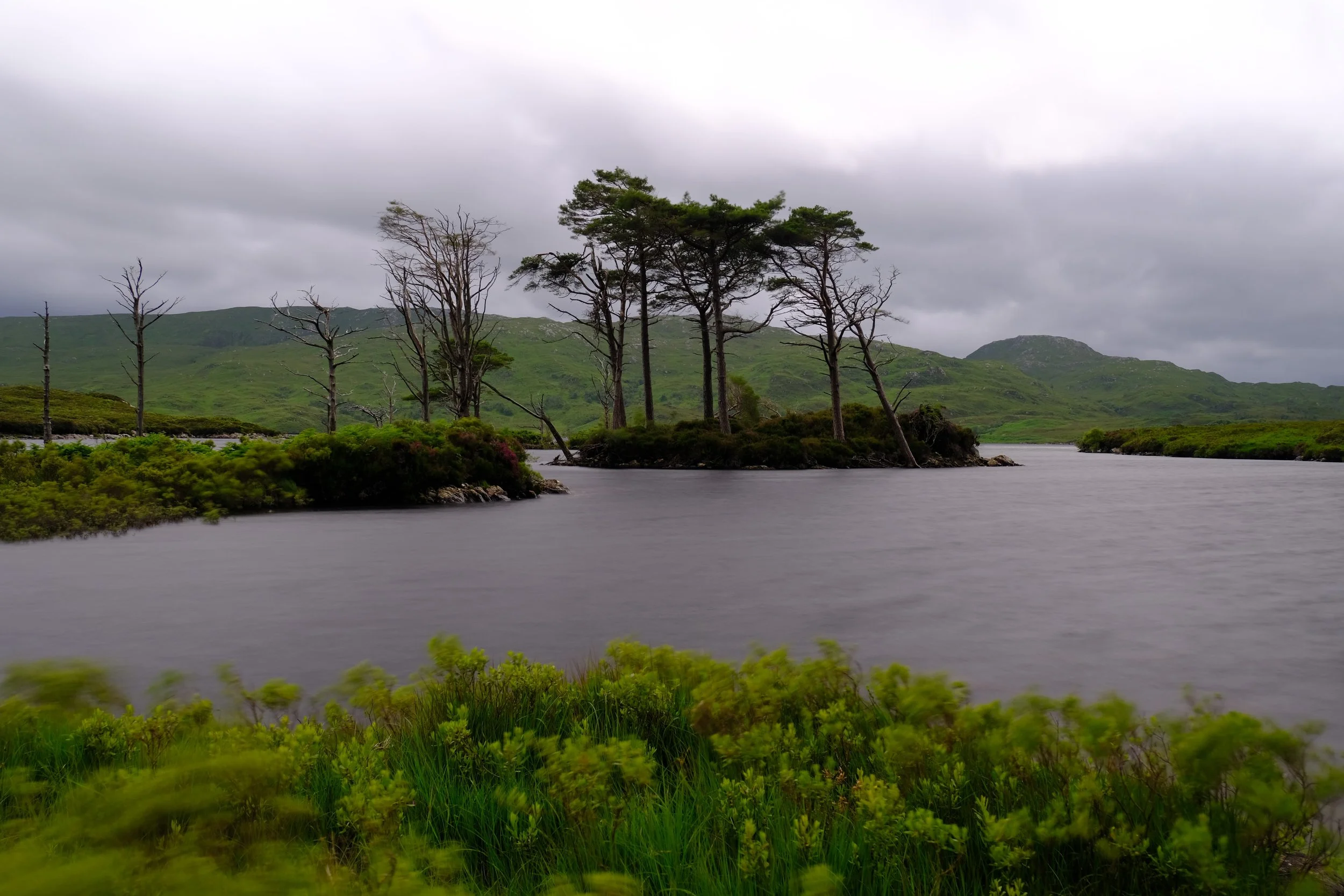 DSCF3816.JPG