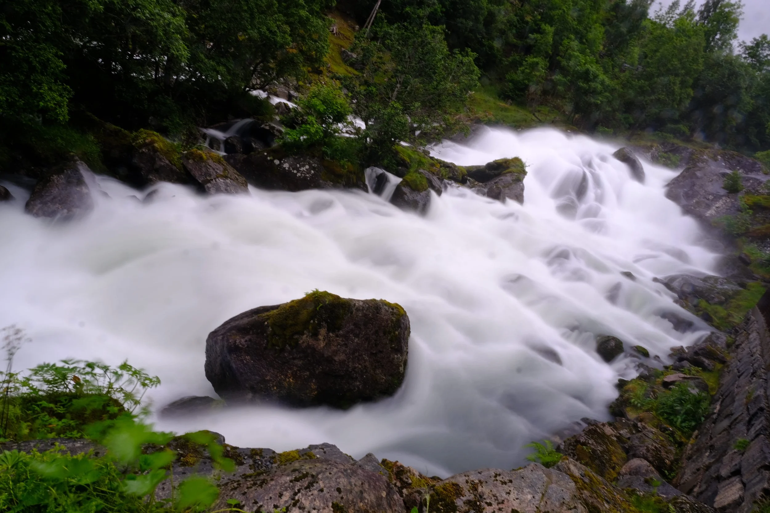 Schneller Fluss mit weißen, schäumenden Wasser, umgeben von grünen Bäumen und Steinen im Naturgebiet.