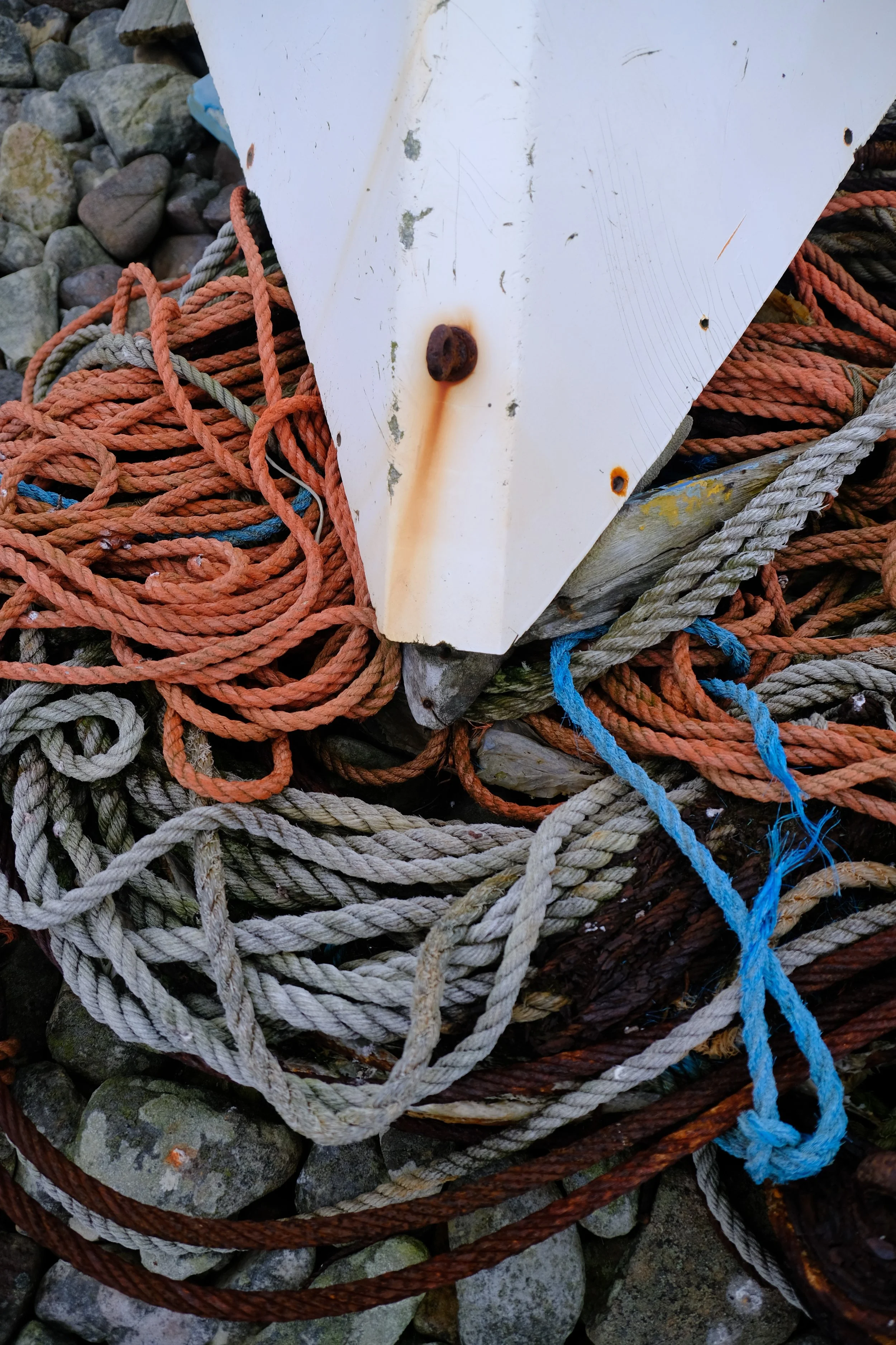 DSCF4158.JPG