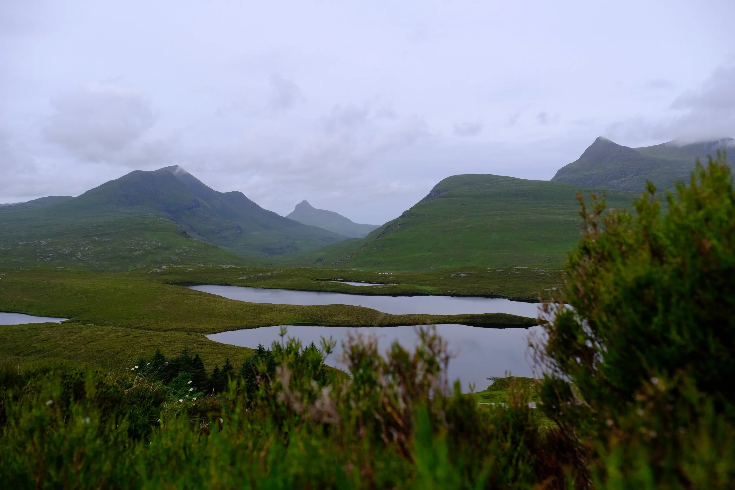 DSCF1755.JPG