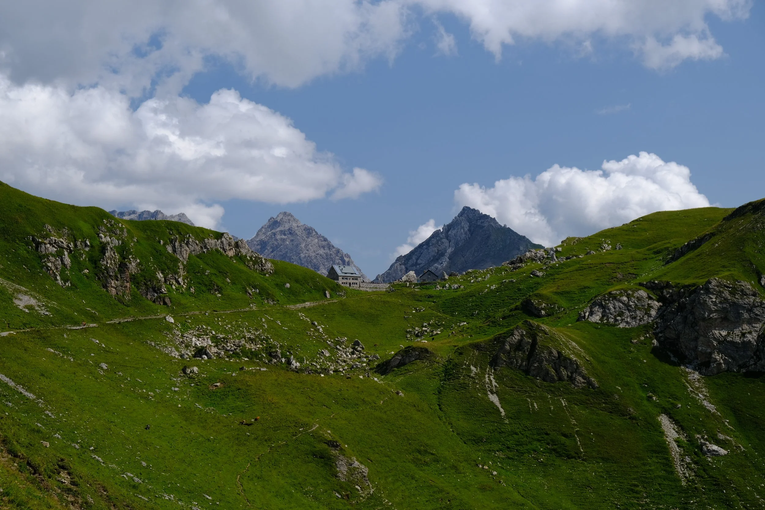 DSCF7221.JPG