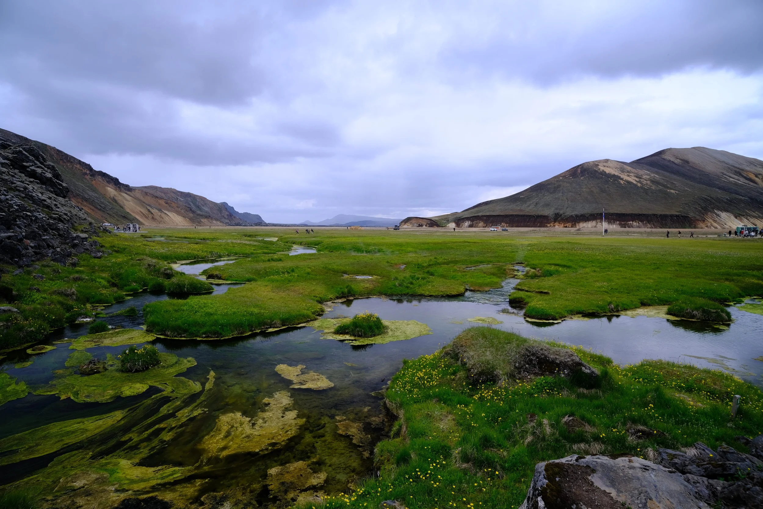 Grünes Moorland mit Wasserläufen und Hügeln im Hintergrund bei bewölktem Himmel in Island.