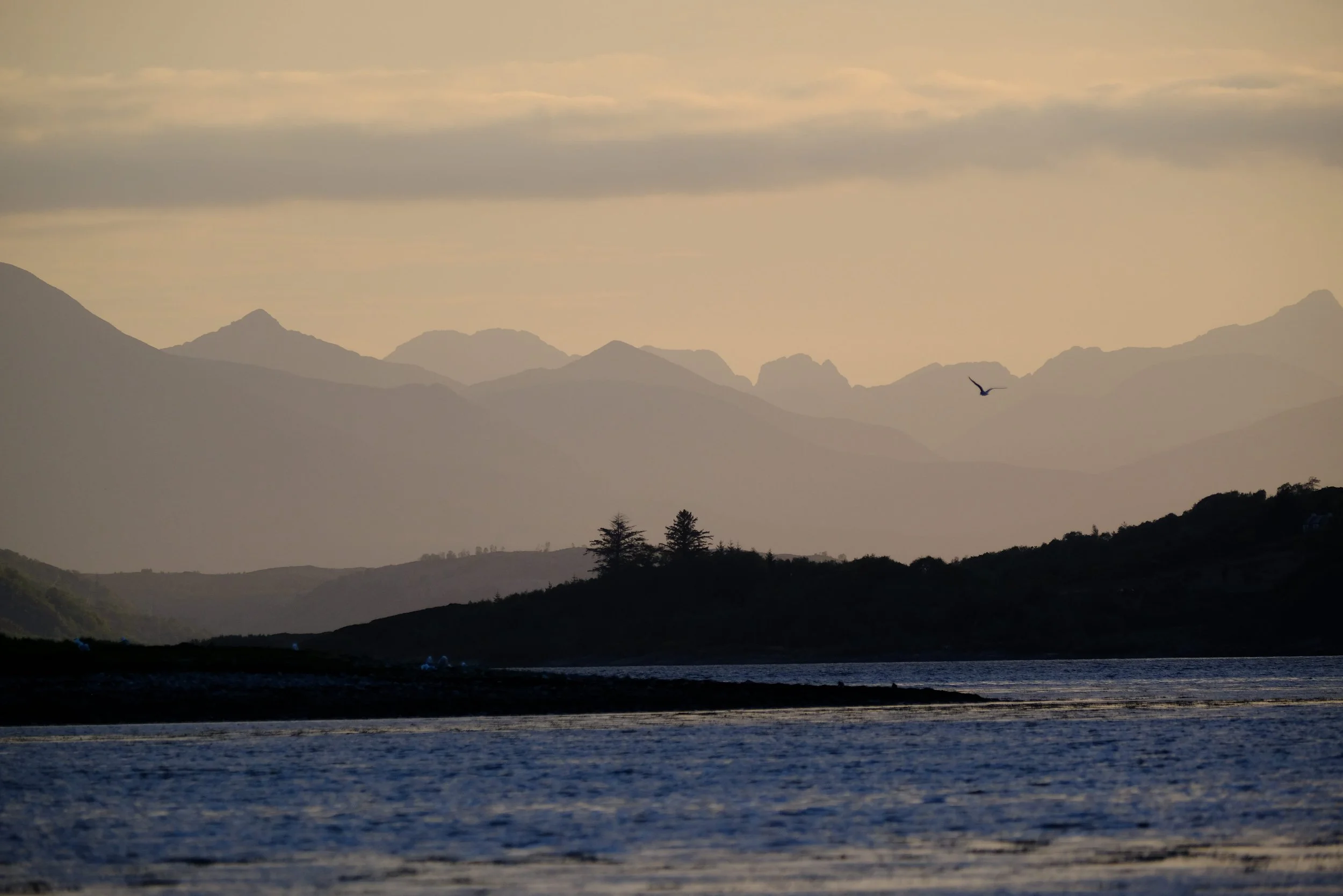 Landschaft mit Bergketten im Hintergrund, Wasser im Vordergrund, ein Vogel fliegt in der Luft, Bäume auf einer kleinen Insel im Wasser.