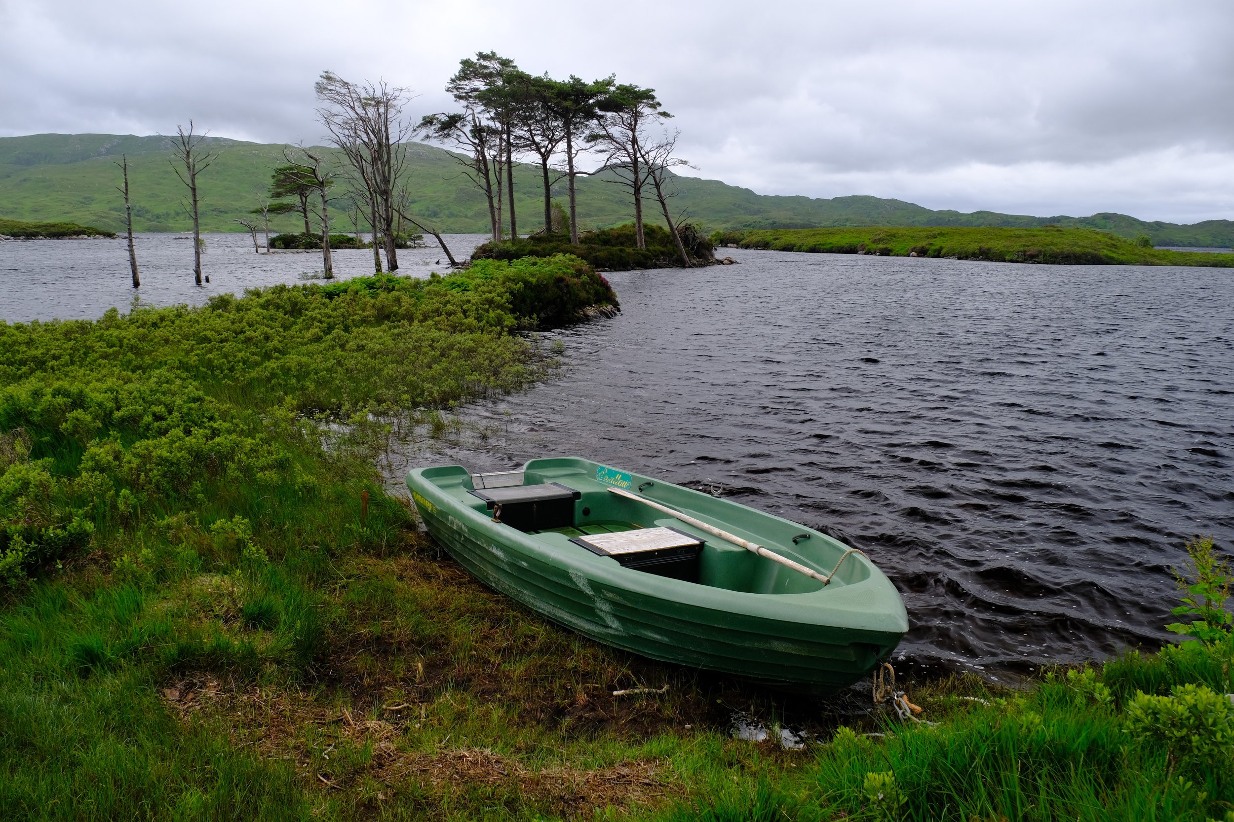 DSCF3797.JPG