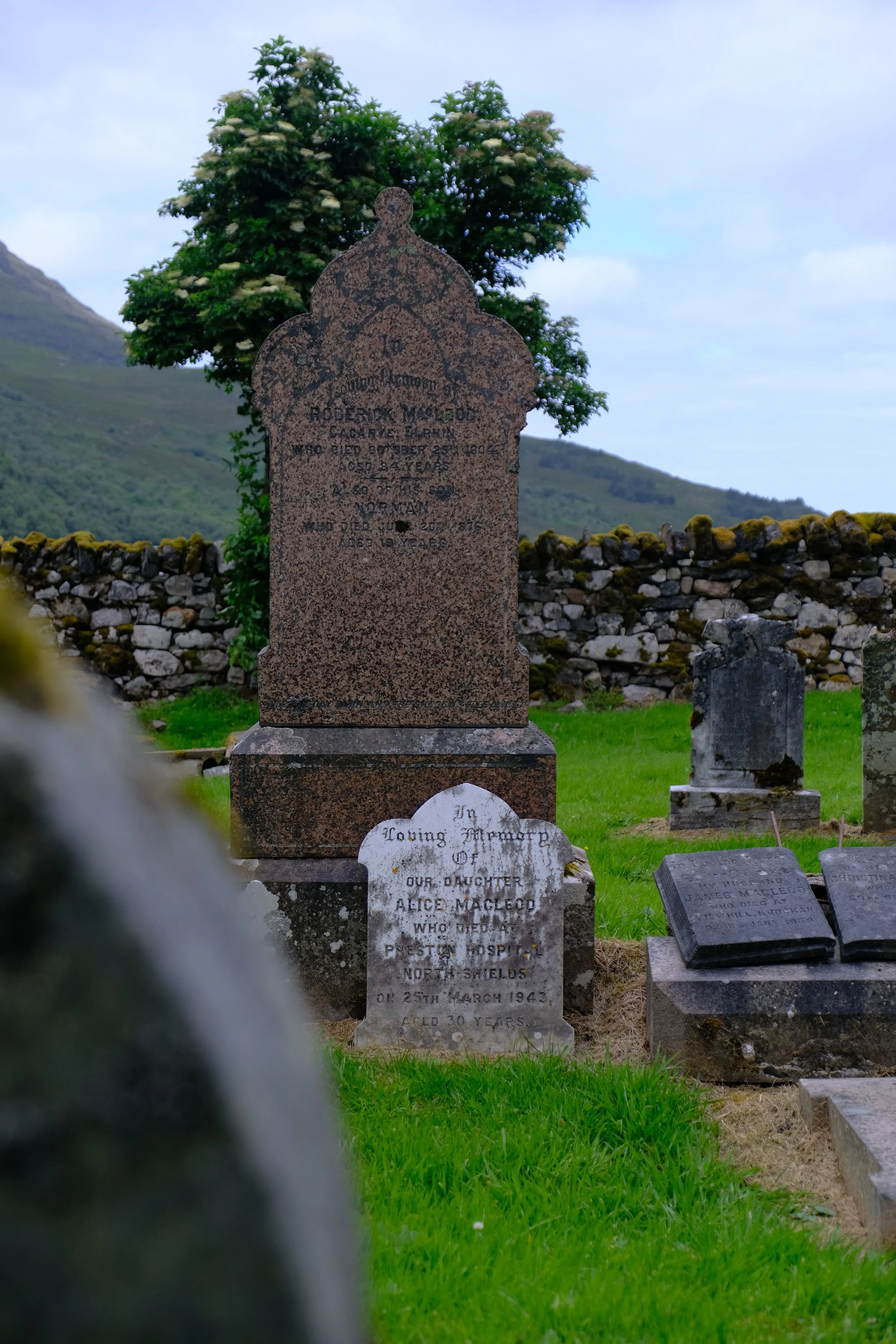DSCF3435_1.jpg