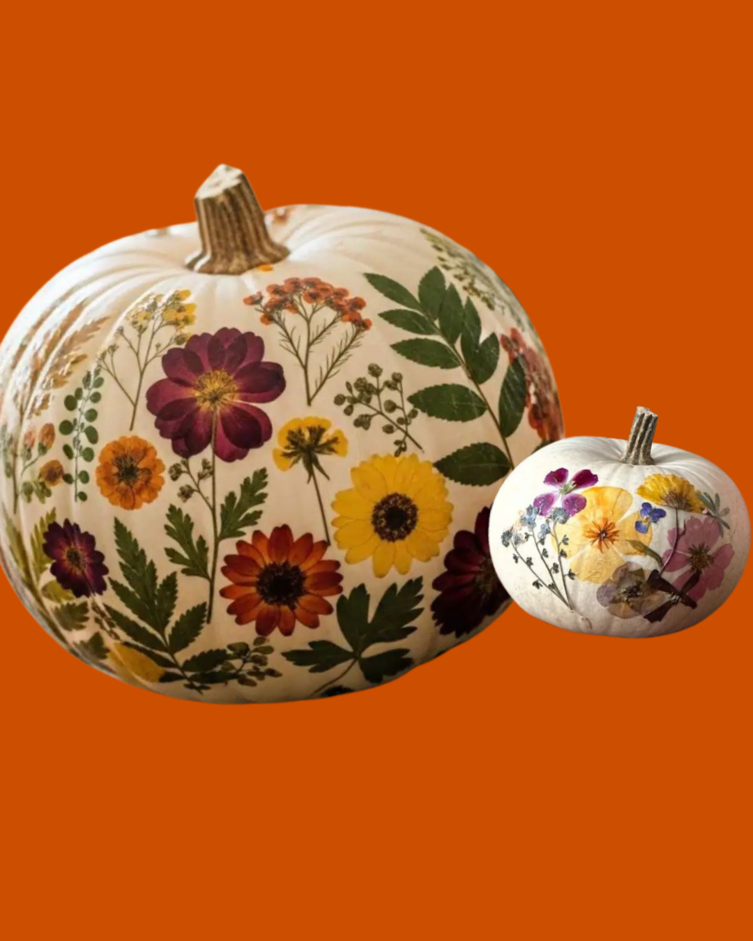 Pressed Flower Pumpkins .png