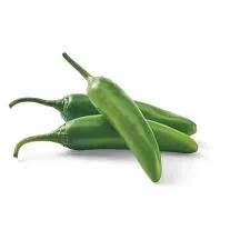 IMG_3372.jpeg