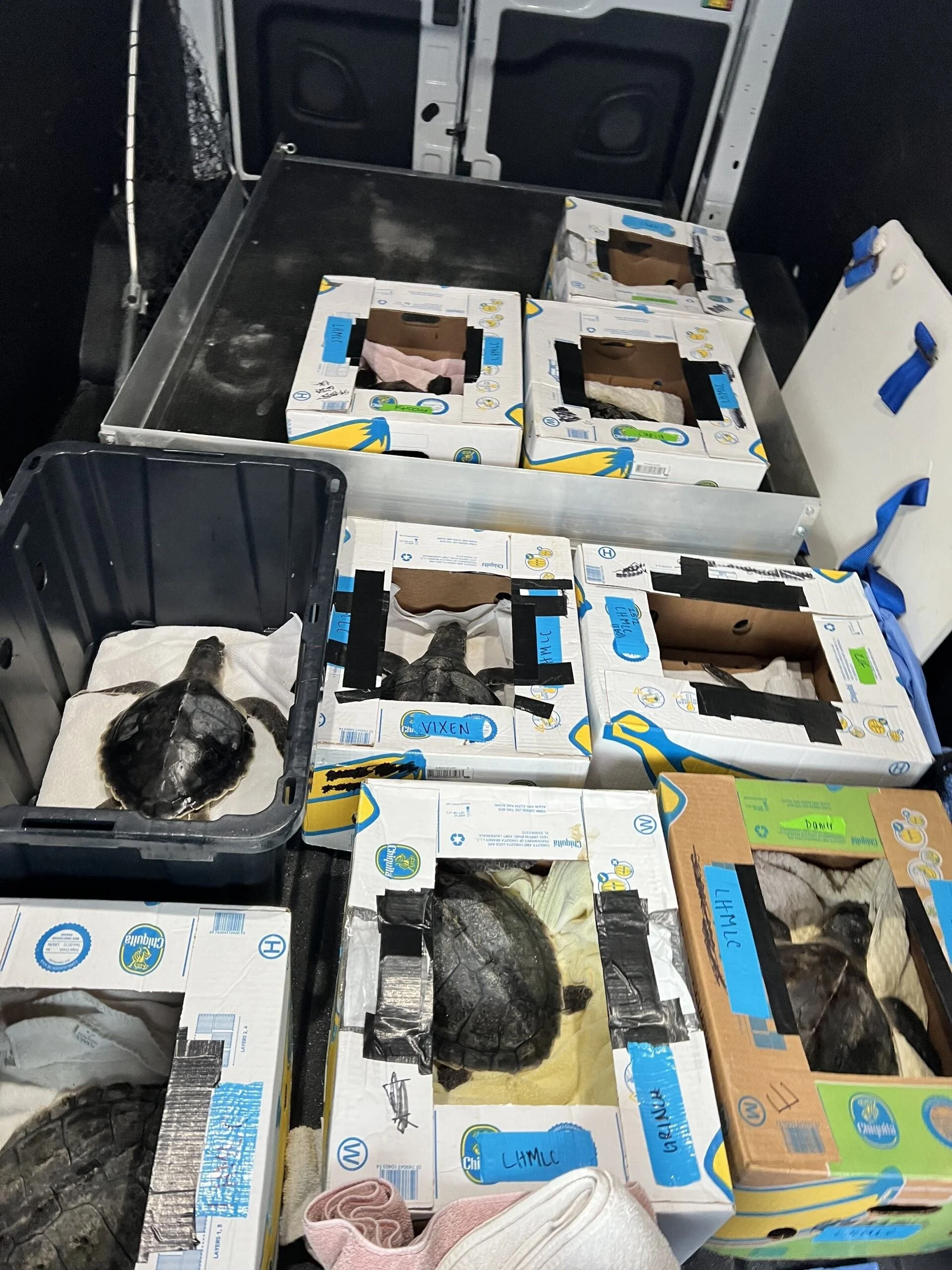 147ae00c-998f-426c-8b5e-0edcad2c4c97 - Copy.jpg