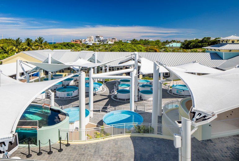 Facilities Department — Loggerhead Marinelife Center Volunteer Portal