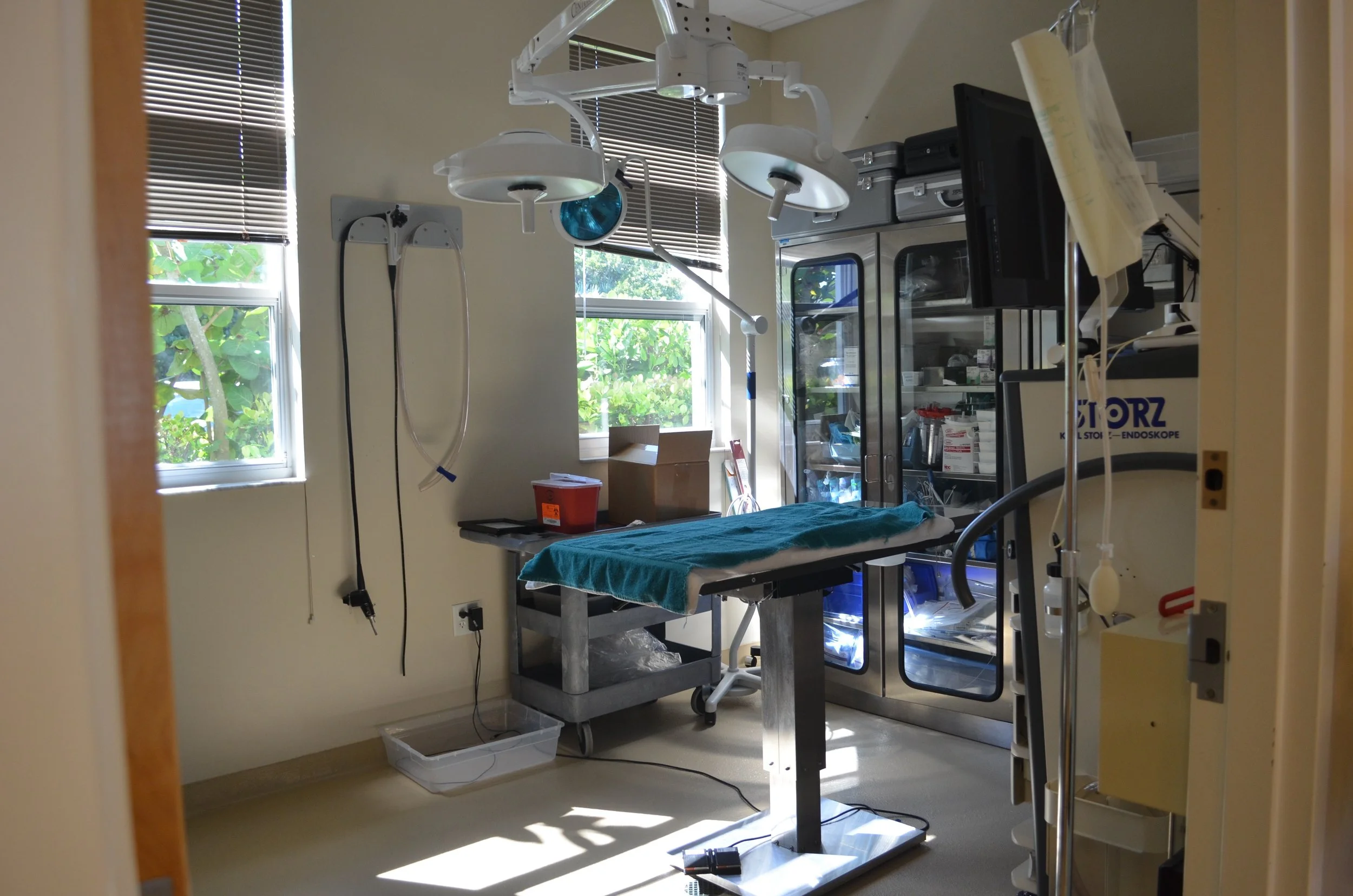 80be5b42-52d3-408c-97ae-a3f652b20f3e - Copy.jpg