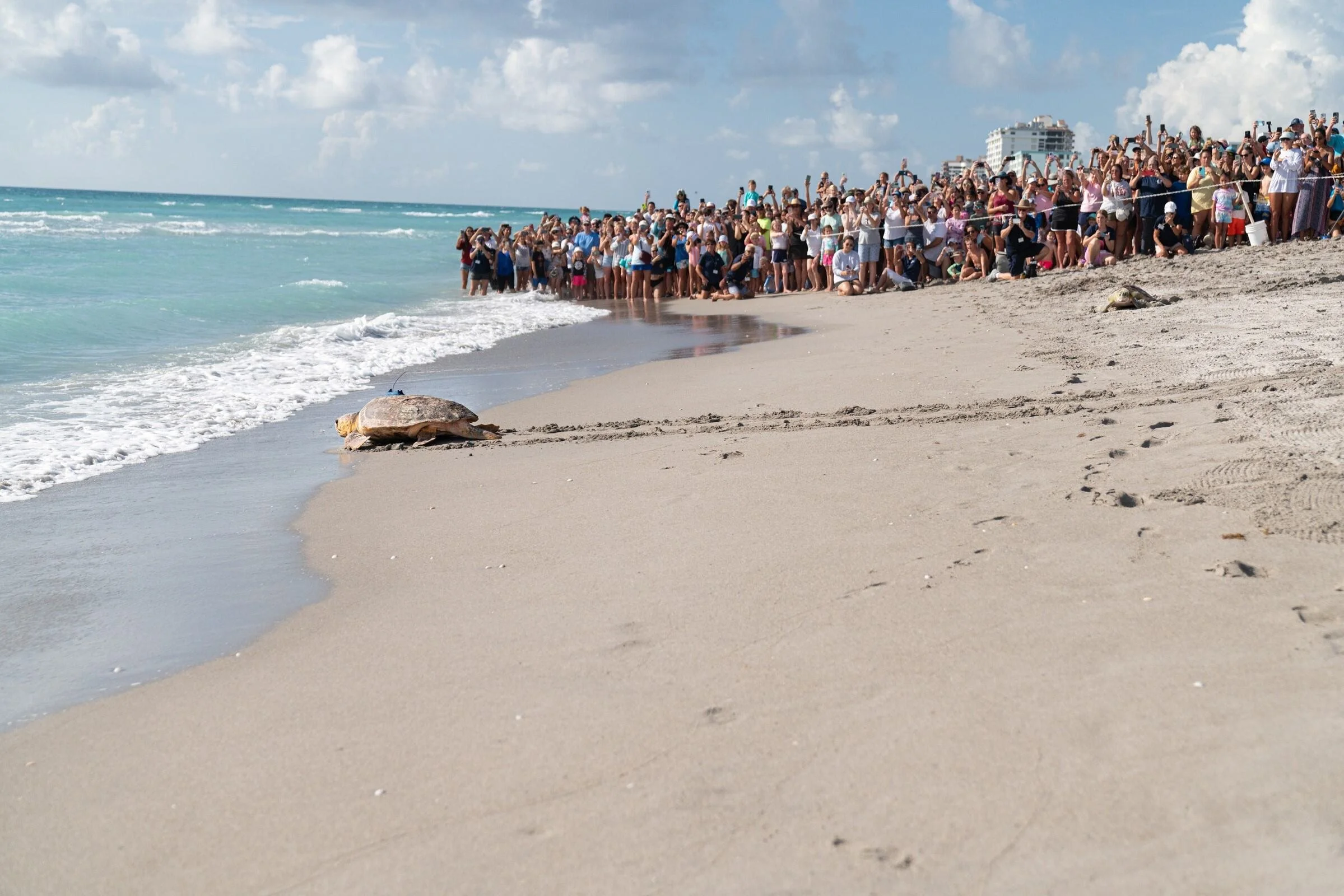 15d74b50-04fa-4df5-a31f-b731ea7cc4d6 - Copy.jpg