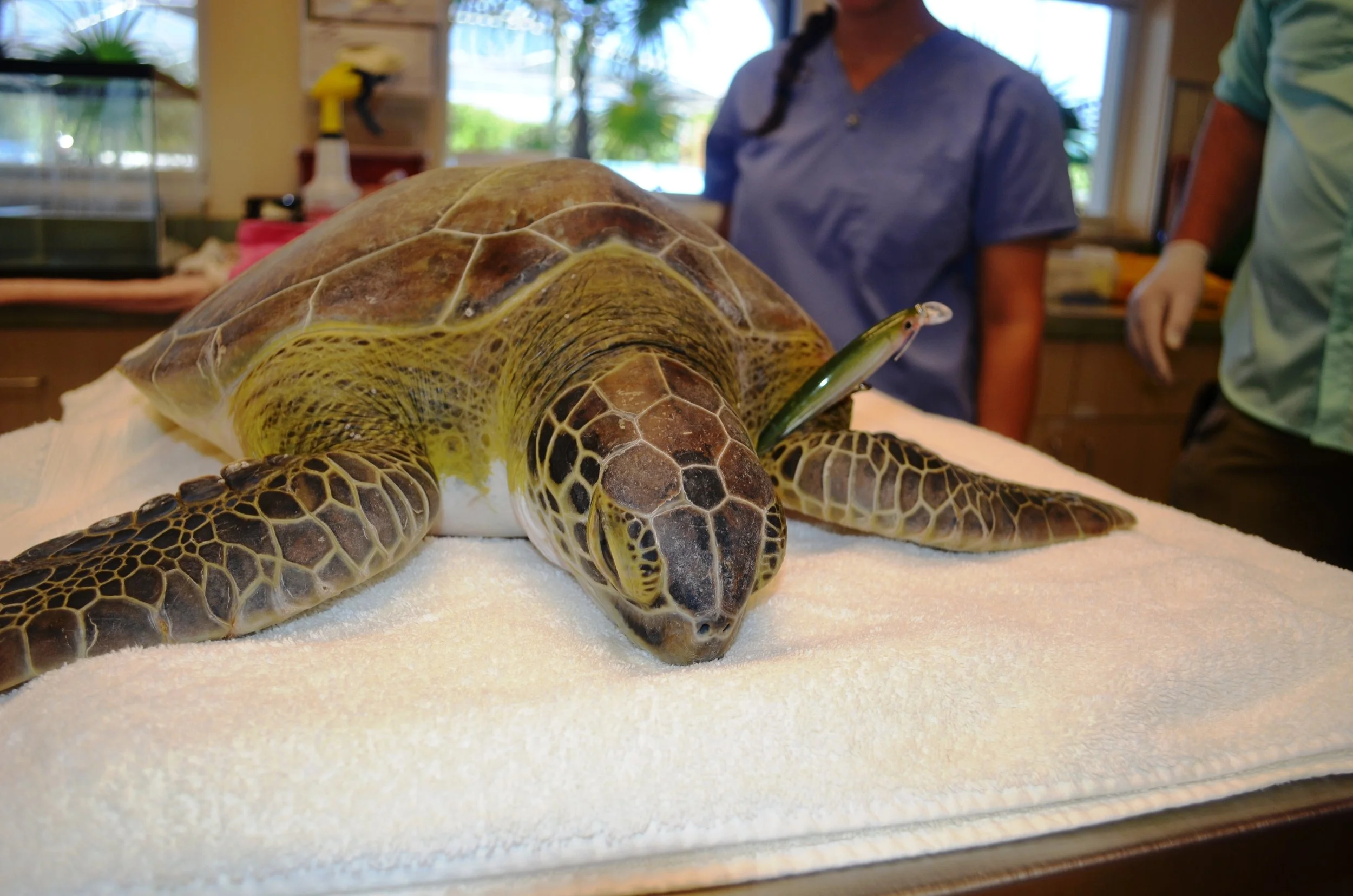 8f5be1a7-a235-476c-a3fe-4d5f78810c82 - Copy.jpg