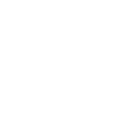 Follow-Up Sessions Icon