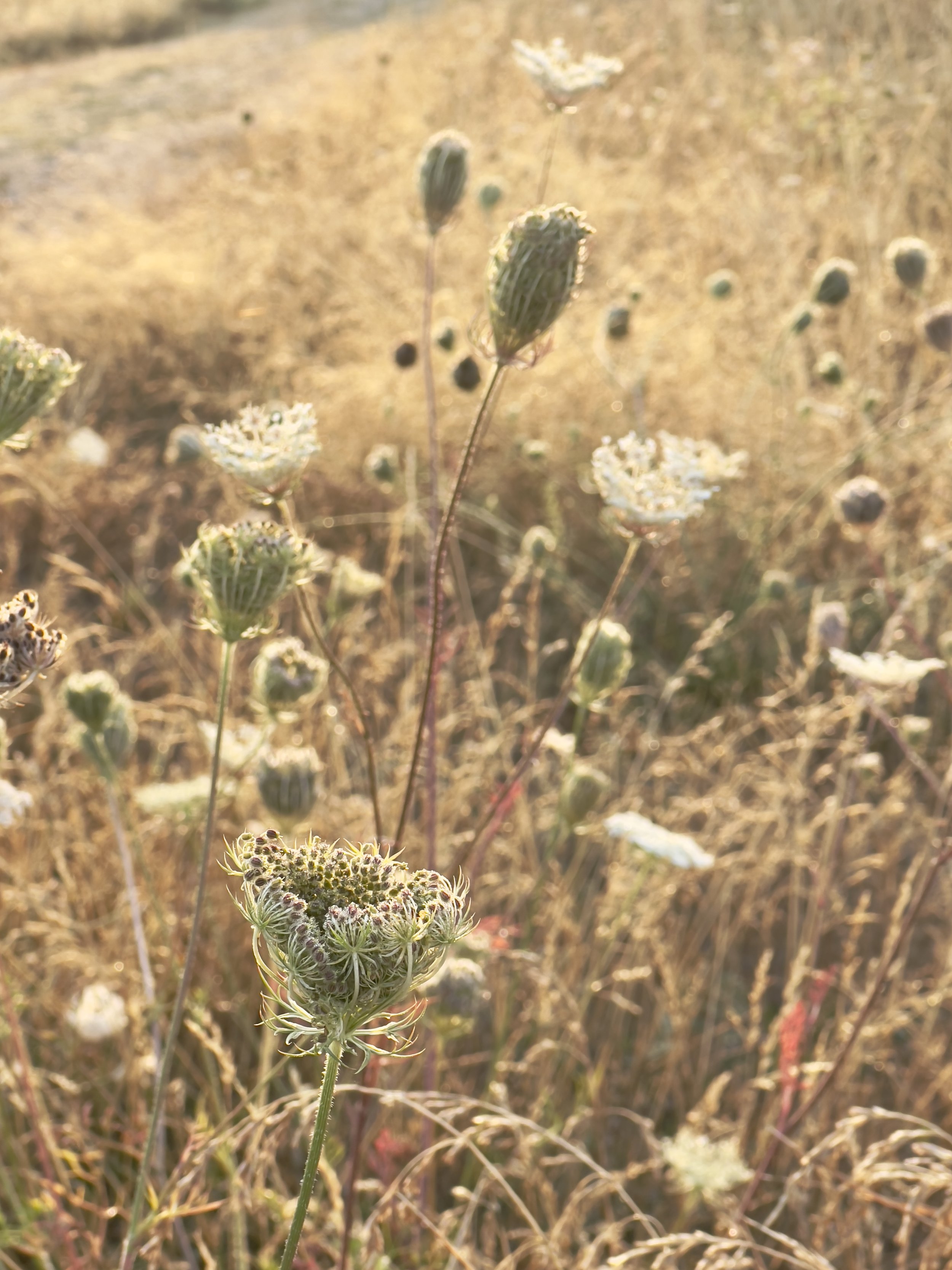 Hello From Sunny September