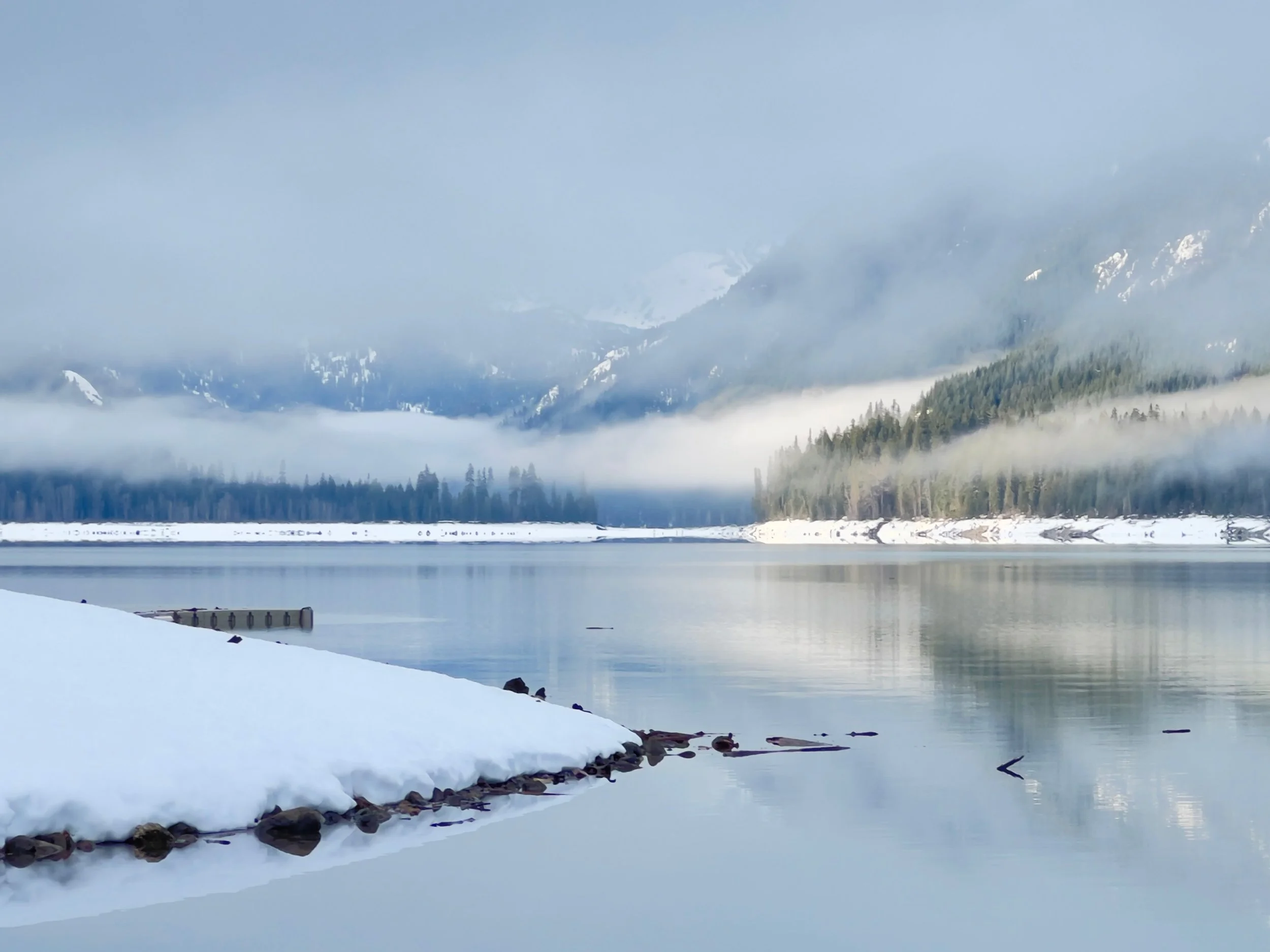 Hello From Slow January