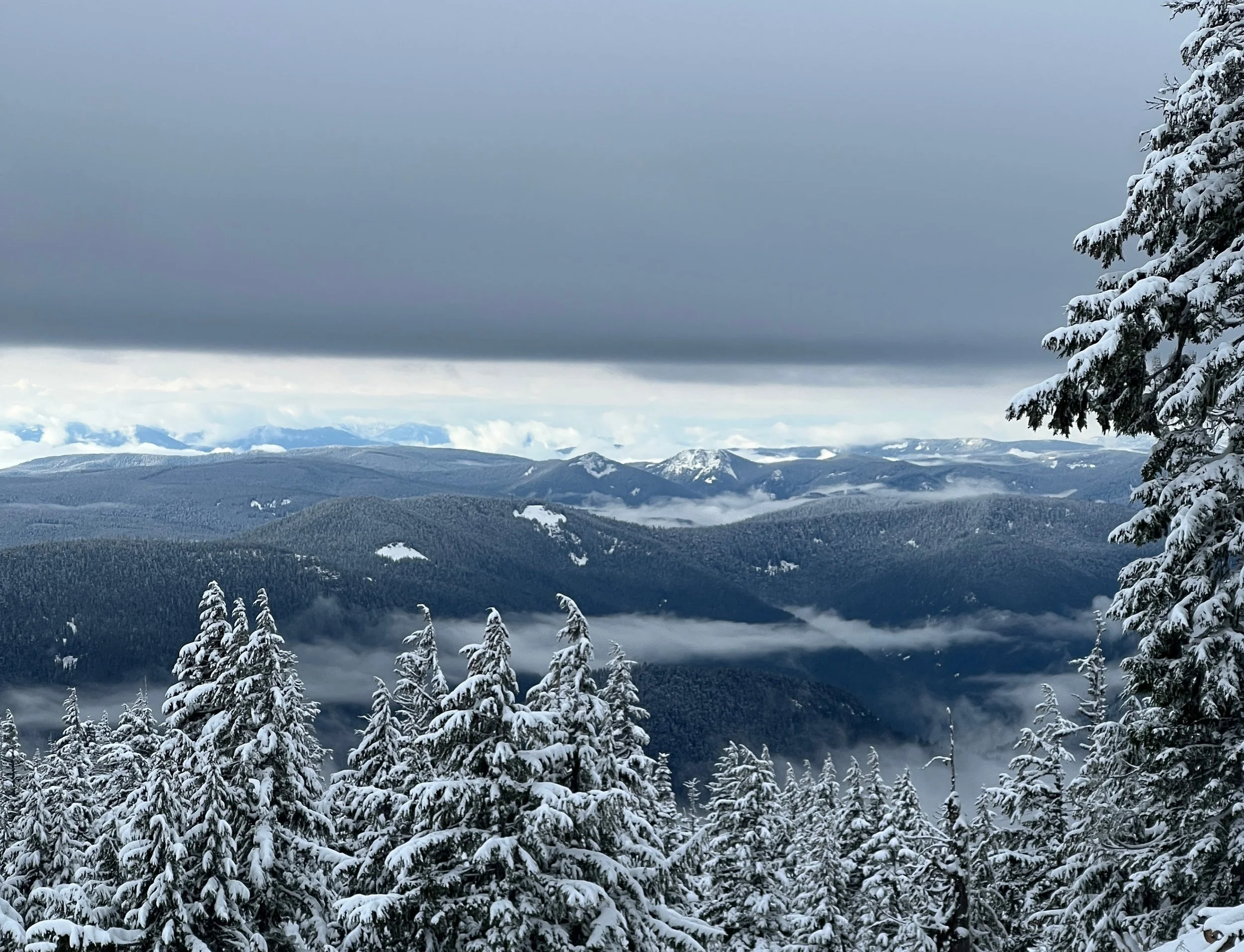 Hello From Fleeting February