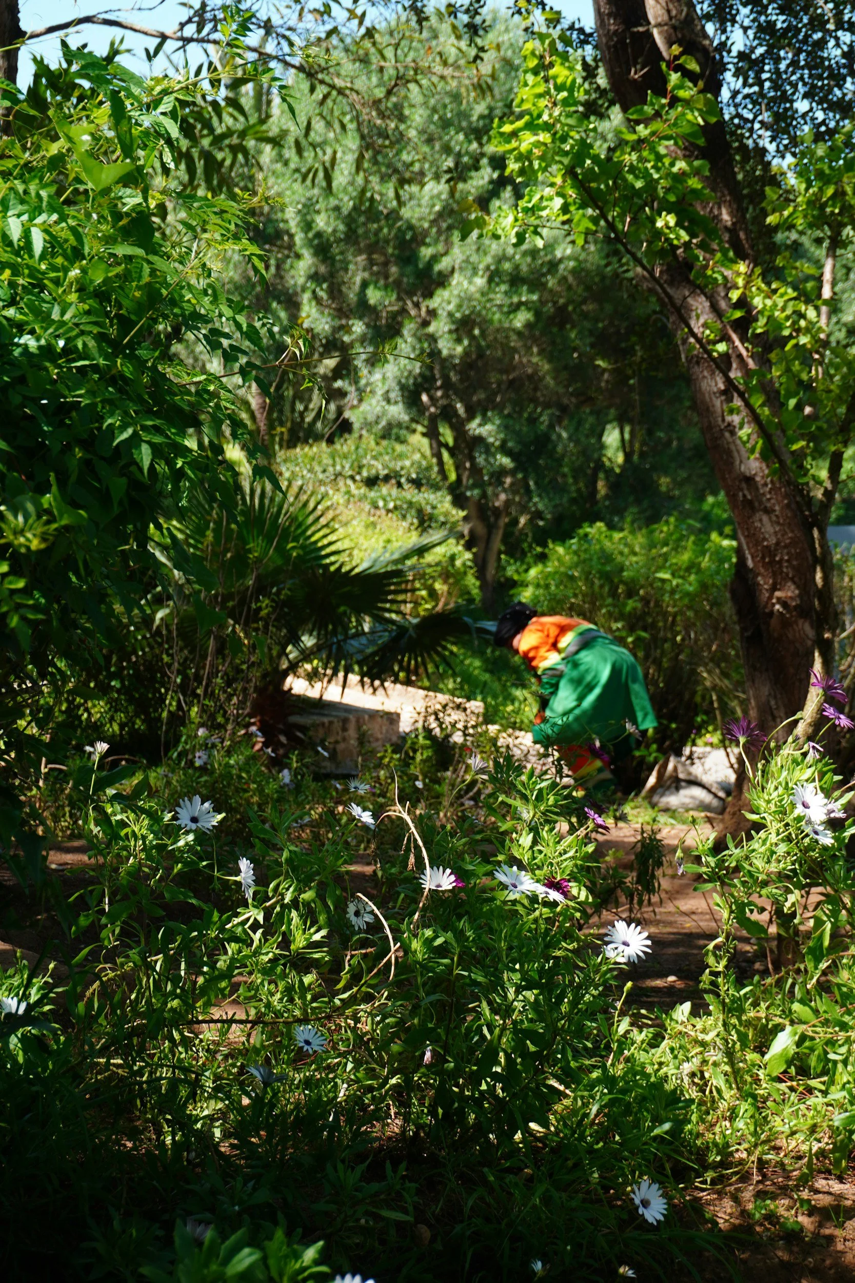 A person in a green and orange outfit bends down in a lush garden filled with green plants, trees, and white flowers.