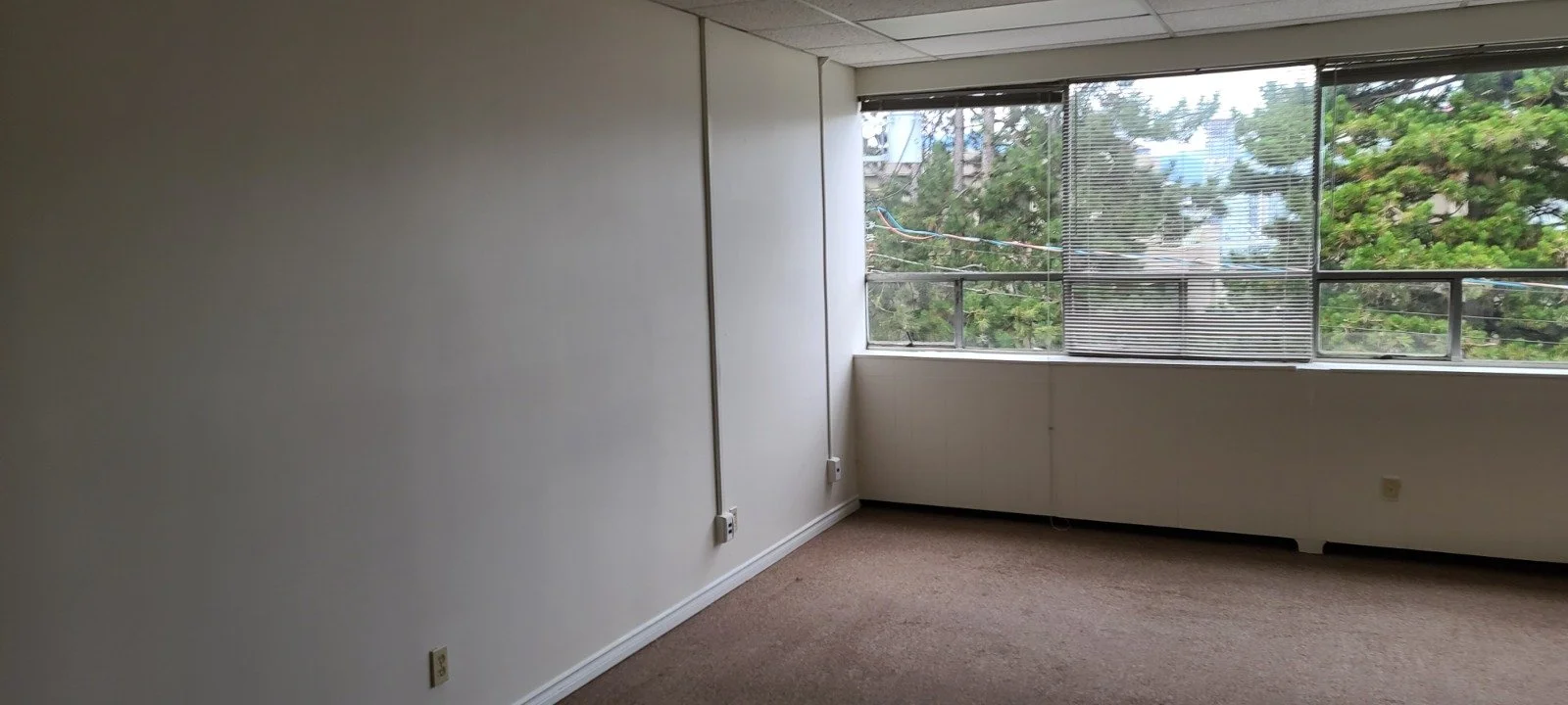 Empty office room with large windows, blinds, white walls, and beige carpet.