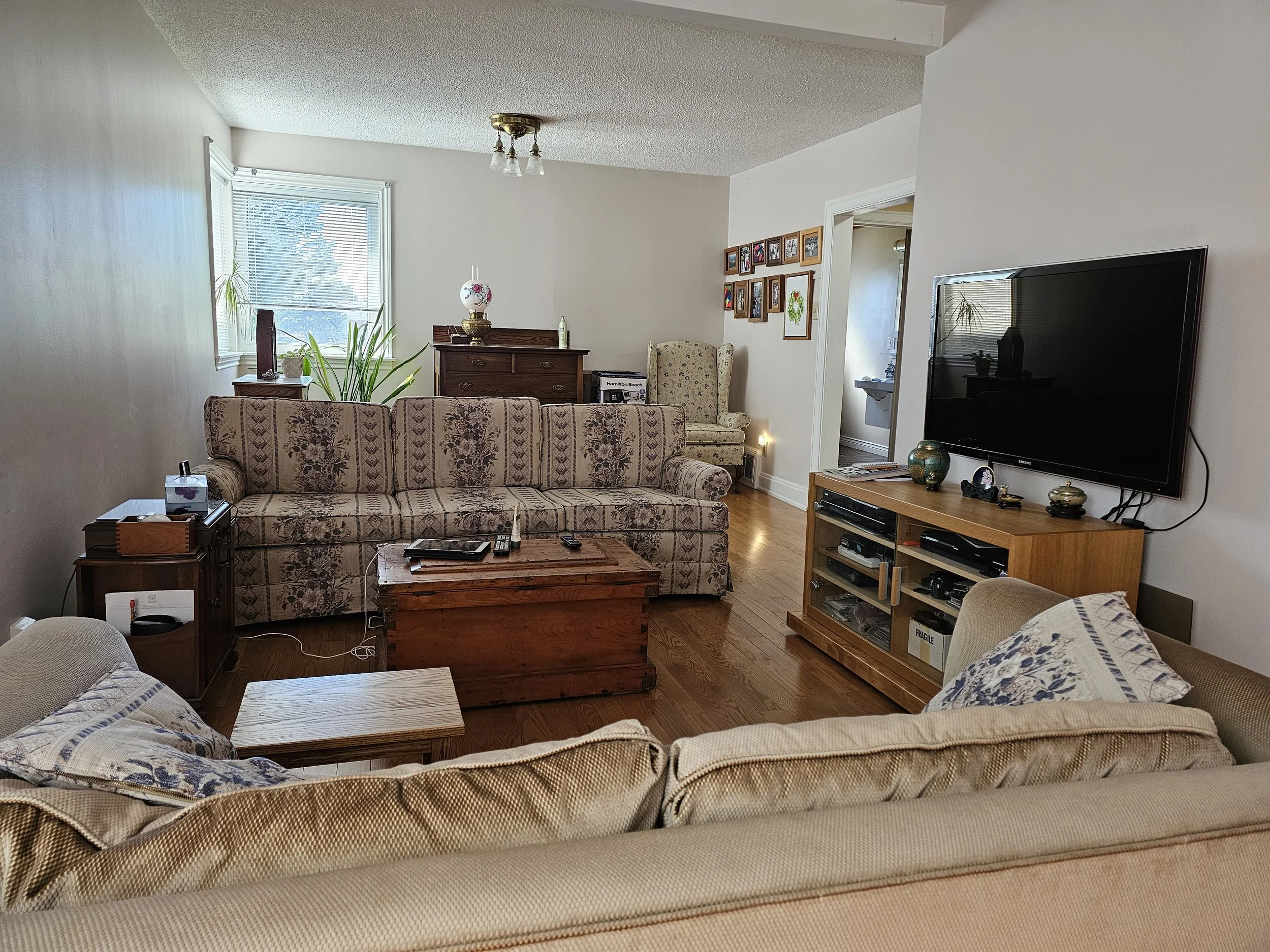 5 - Living 3 - BEFORE.jpg
