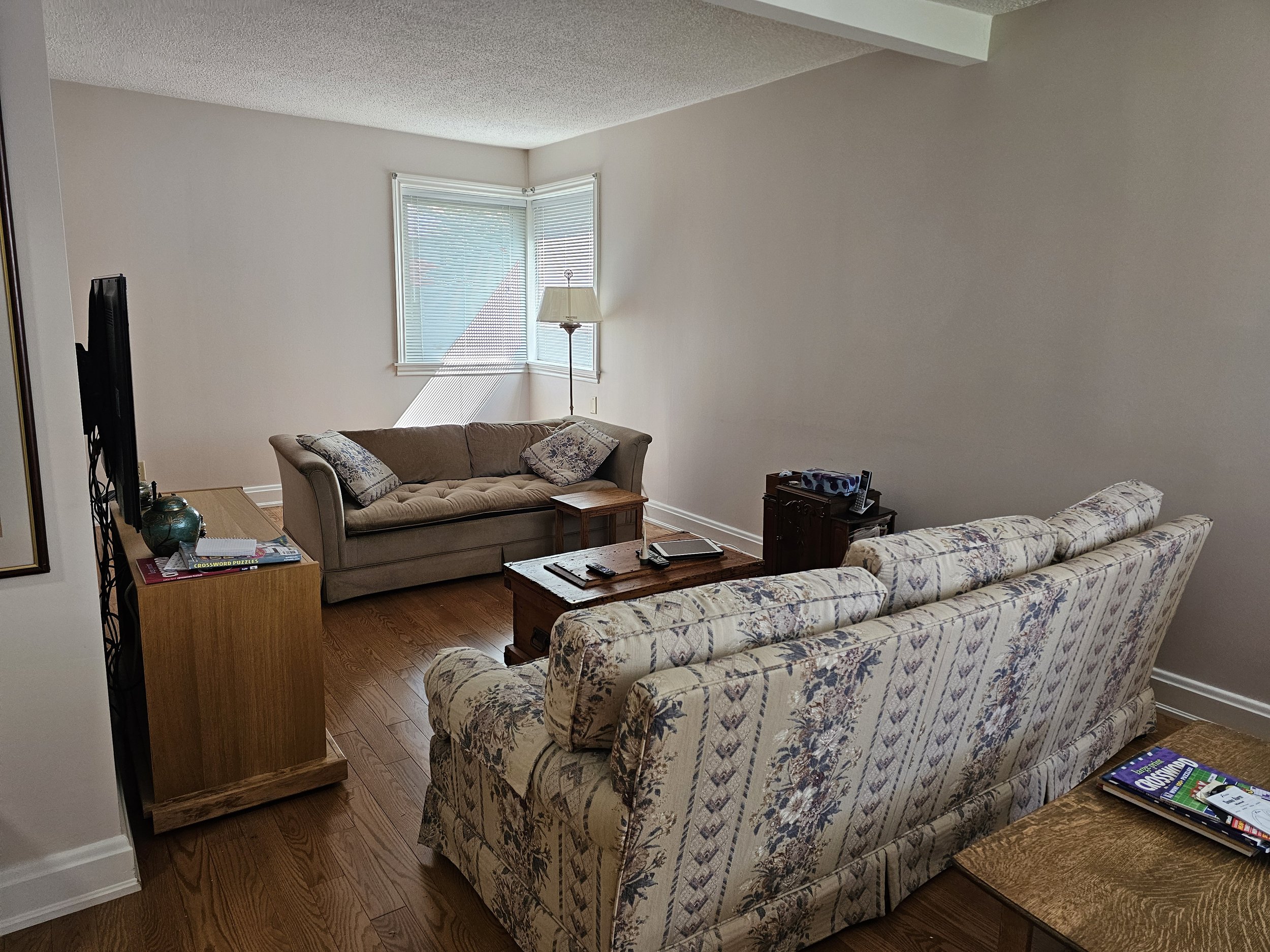 1 - Living - BEFORE.jpg