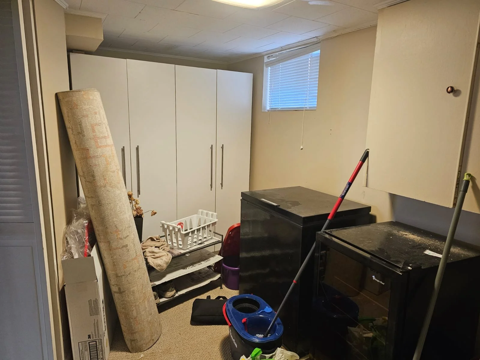 13 - Basement - BEFORE.jpg