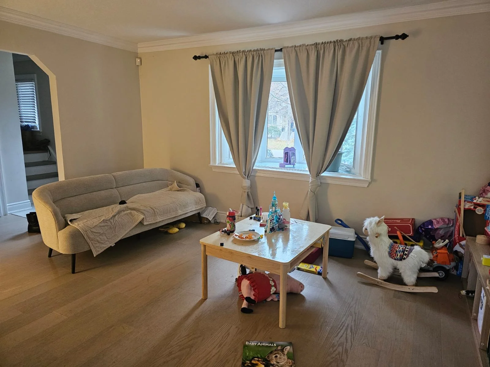 1 - Living - BEFORE.jpg