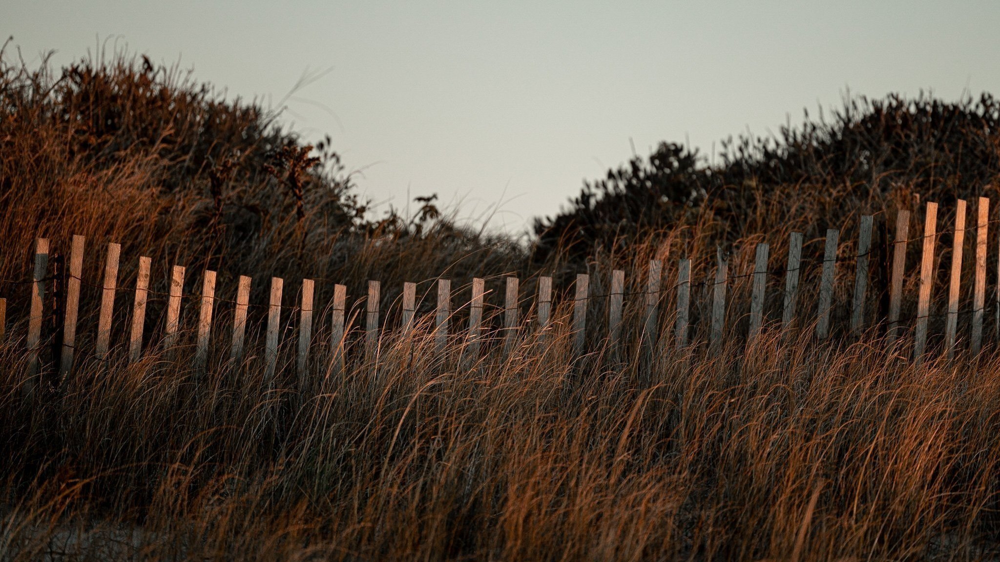 Second Beach at Sunrise, Middletown, RI