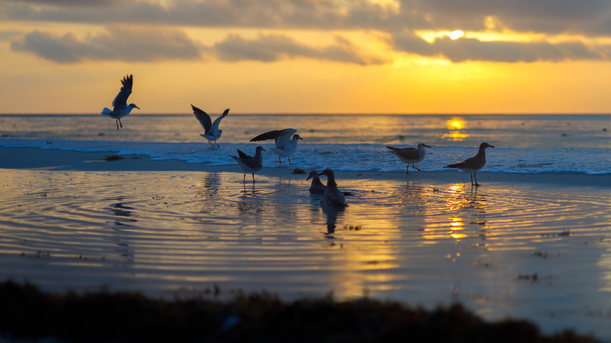 Sunrise scene on the Mexican Coast