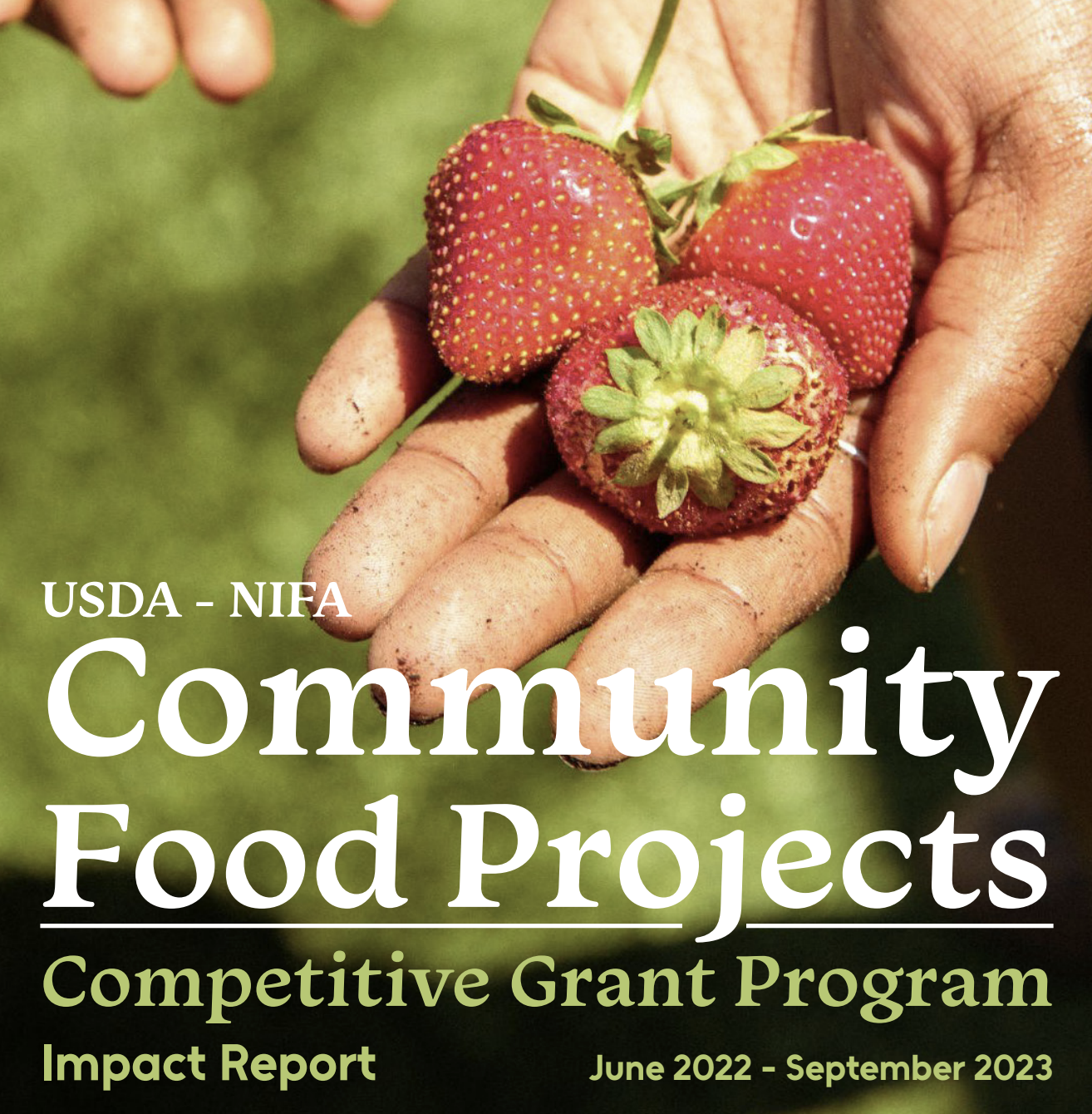 About — Community Food Projects