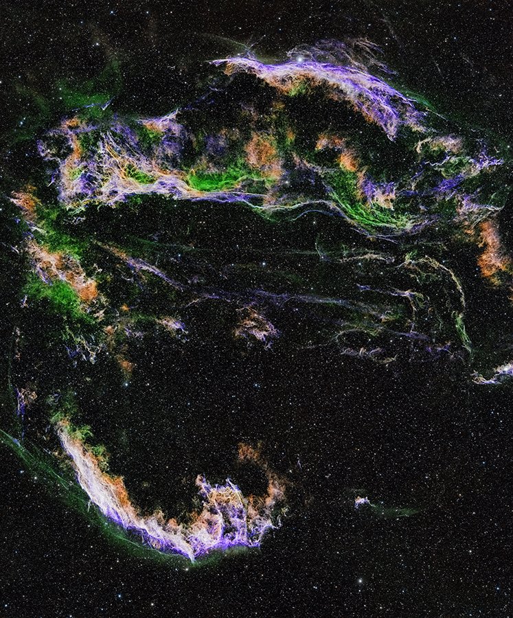 Veil SHO (Web).jpg