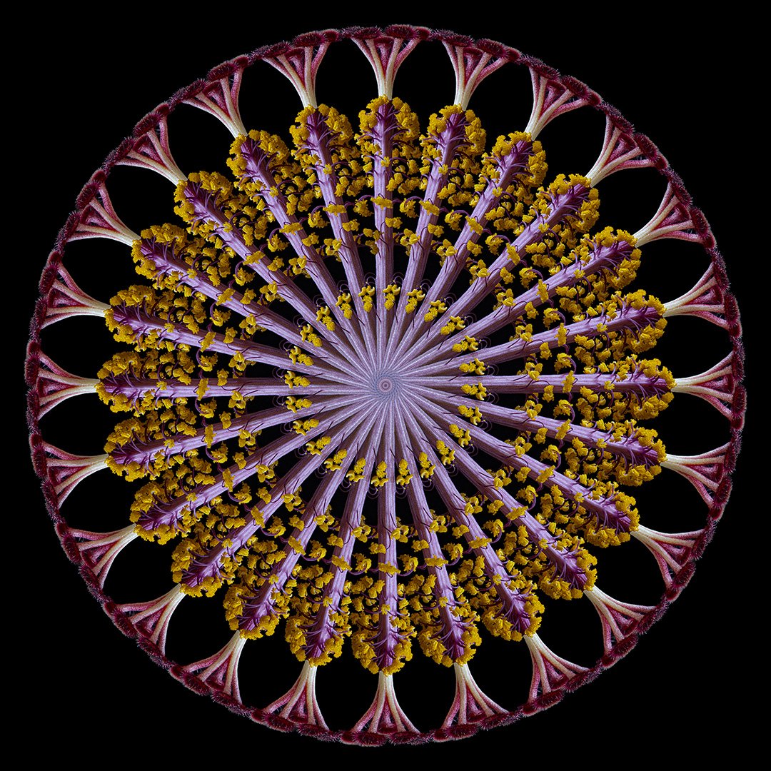 Hibiscus Pistil Mandala (2022)