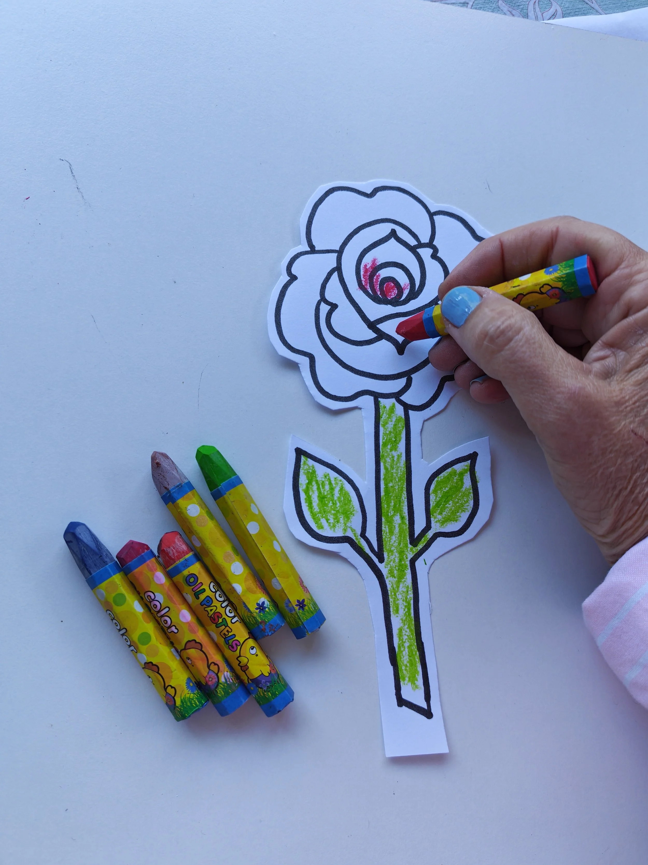 A person coloring a black and white drawing of a rose with colored crayons on a white surface.