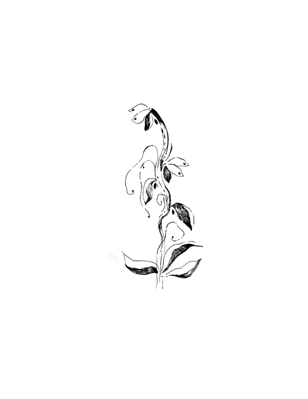 #38