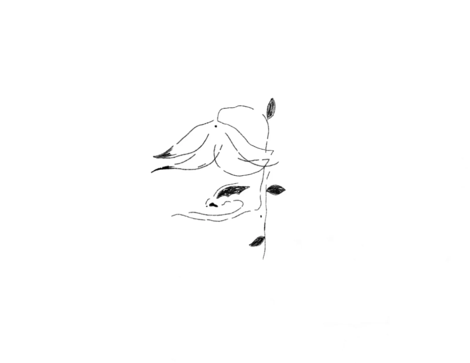 #71
