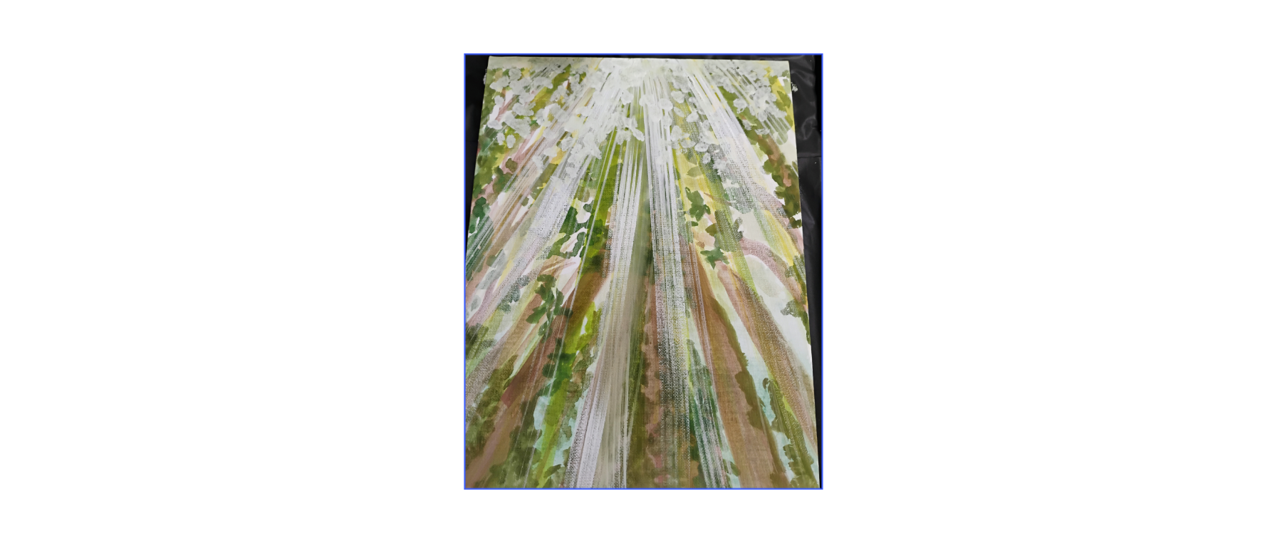 light.in.forest.png