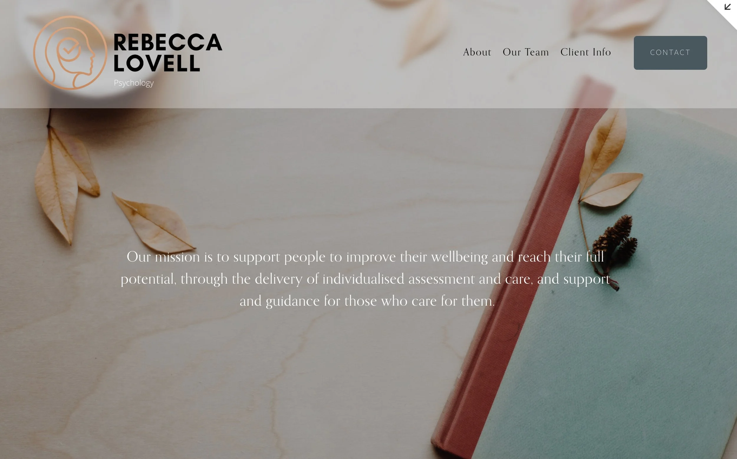 A website homepage with a logo of a person's profile with a checkmark inside a speech bubble, the name Rebecca Lovell, and navigation links for About, Our Team, and Client Info. There is a quote about supporting people's wellbeing and a background im