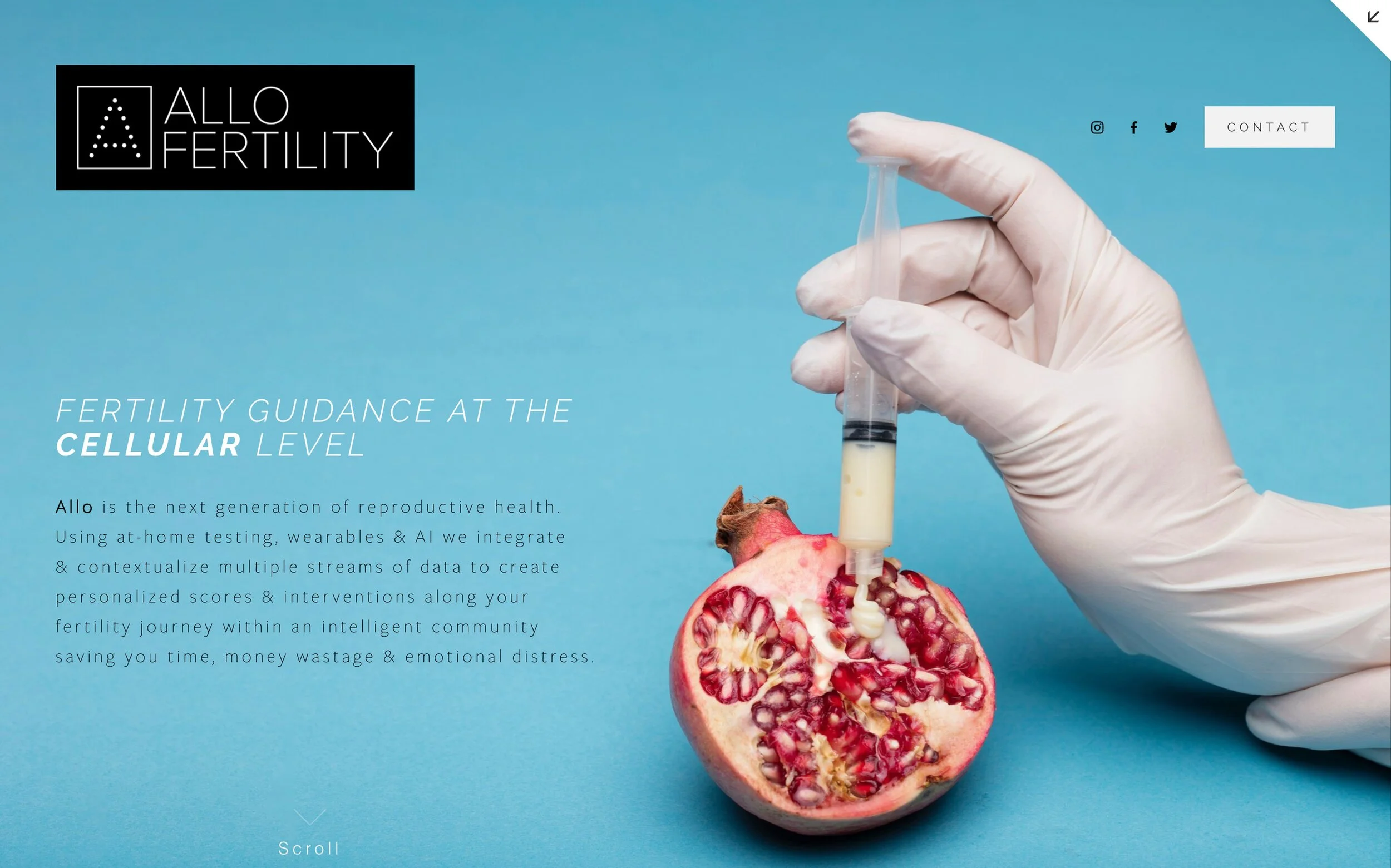 Allo Fertility