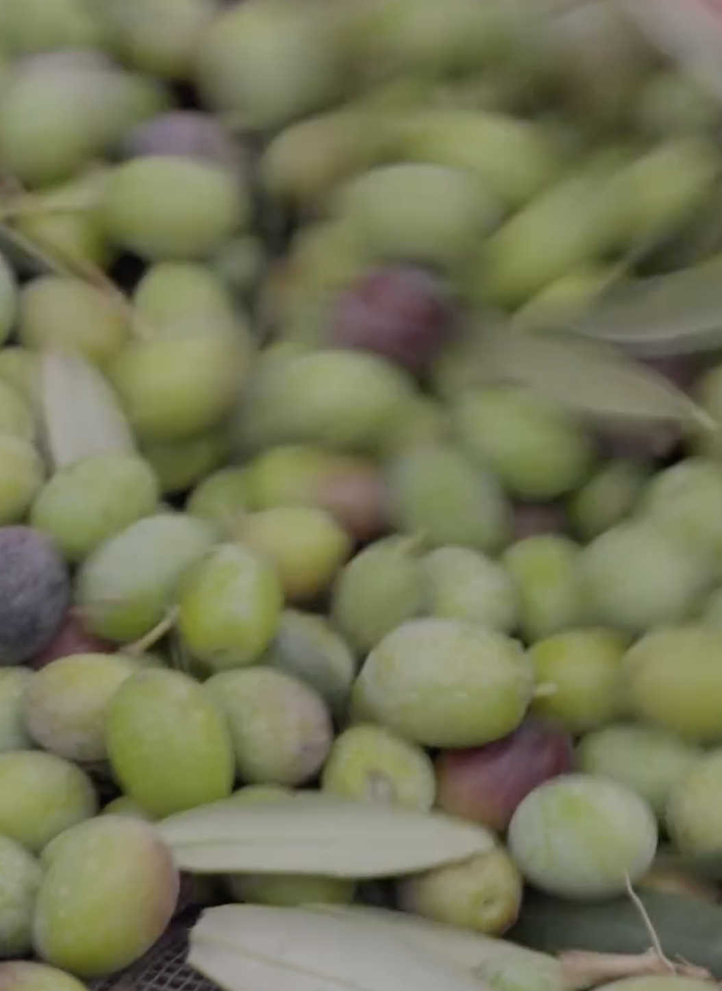 Screenshot 2026-02-04 at 2.44.03 PM.png