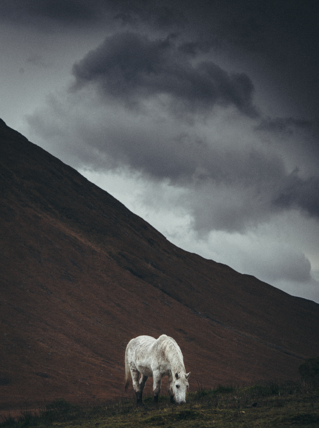 Screenshot 2026-02-04 at 8.47.23 PM.png