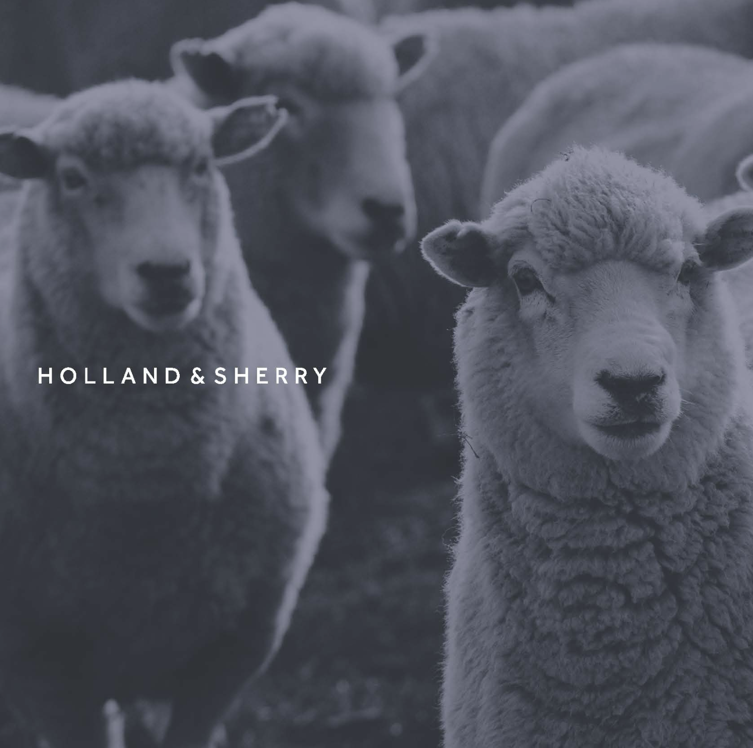 Screenshot 2026-02-04 at 8.57.29 PM.png