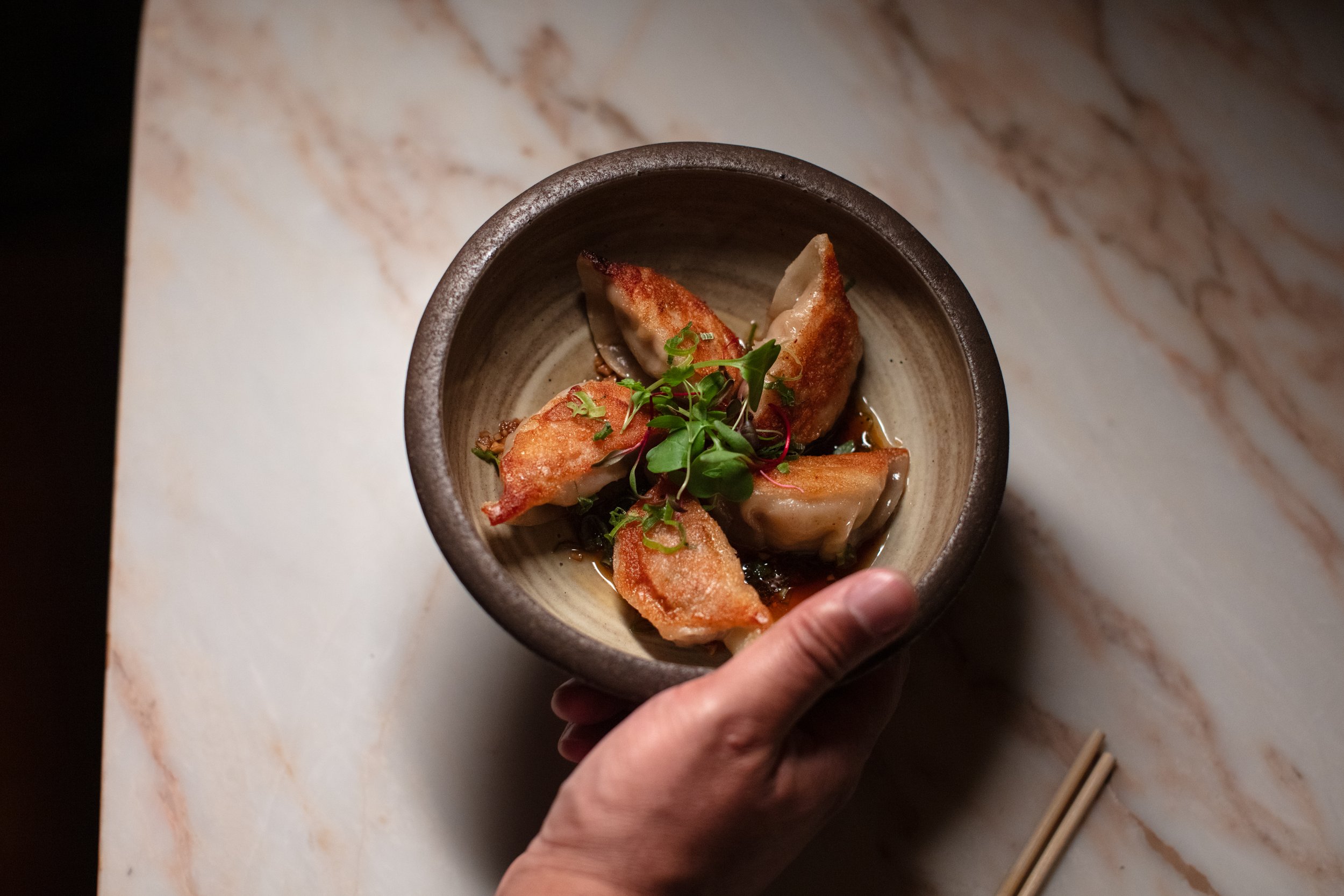 A hand holding a bowl of pan-fried dumplings garnished with greens on a marble surface.