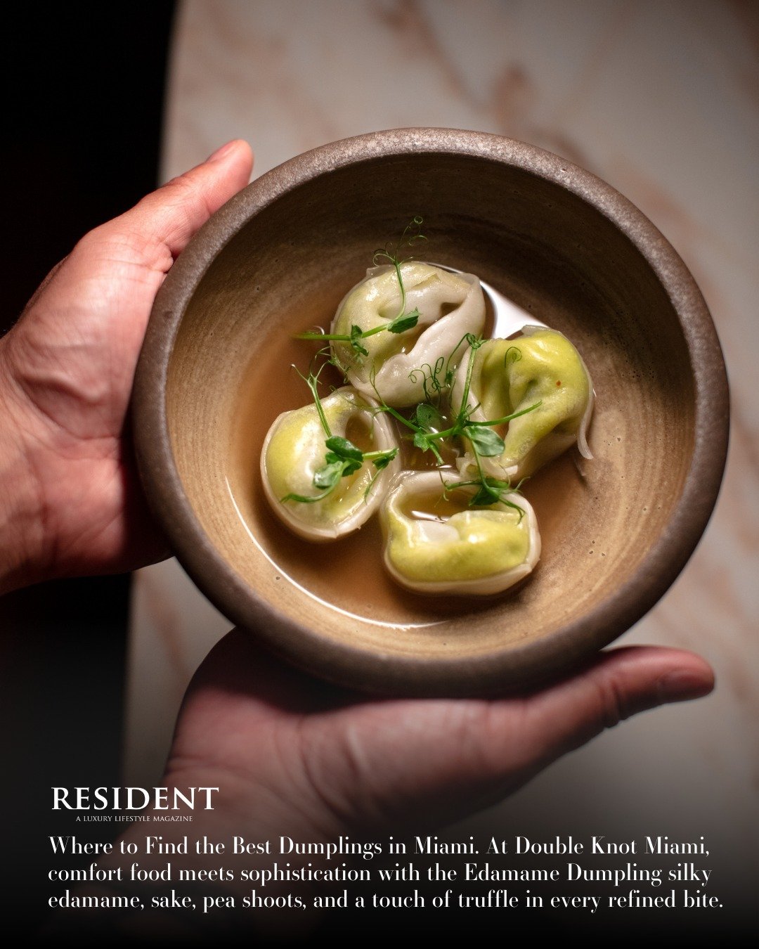 Miami dumpling dreams, realized. 🥟✨
Double Knot Miami has been featured in Resident as one of the best spots in the city for dumplings &mdash; and our Edamame Dumplings are the star. Silky edamame, sake, fresh peashoots, and just a touch of truffle.