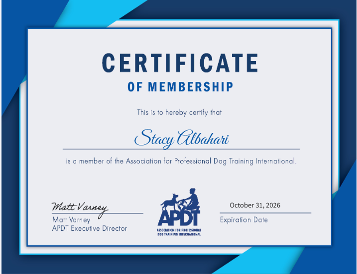 APDT membership certificate