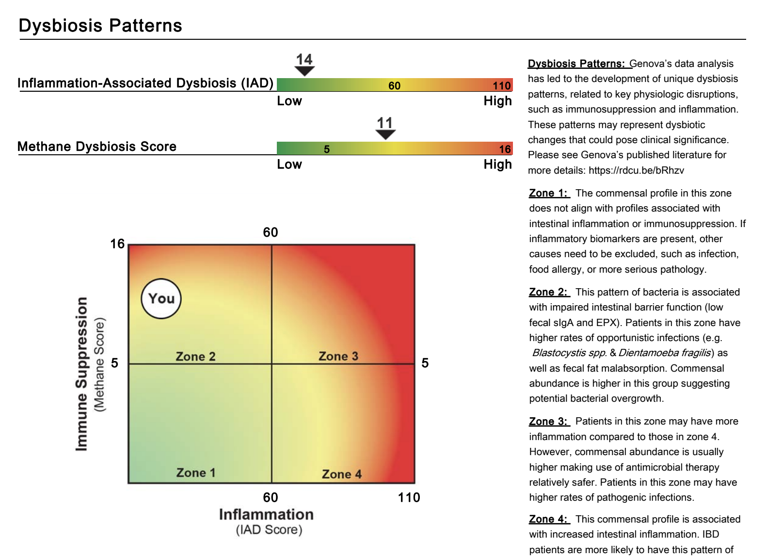 Gut Test Results.png