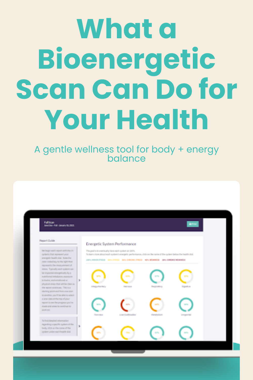 Bioenergetic Scan.png