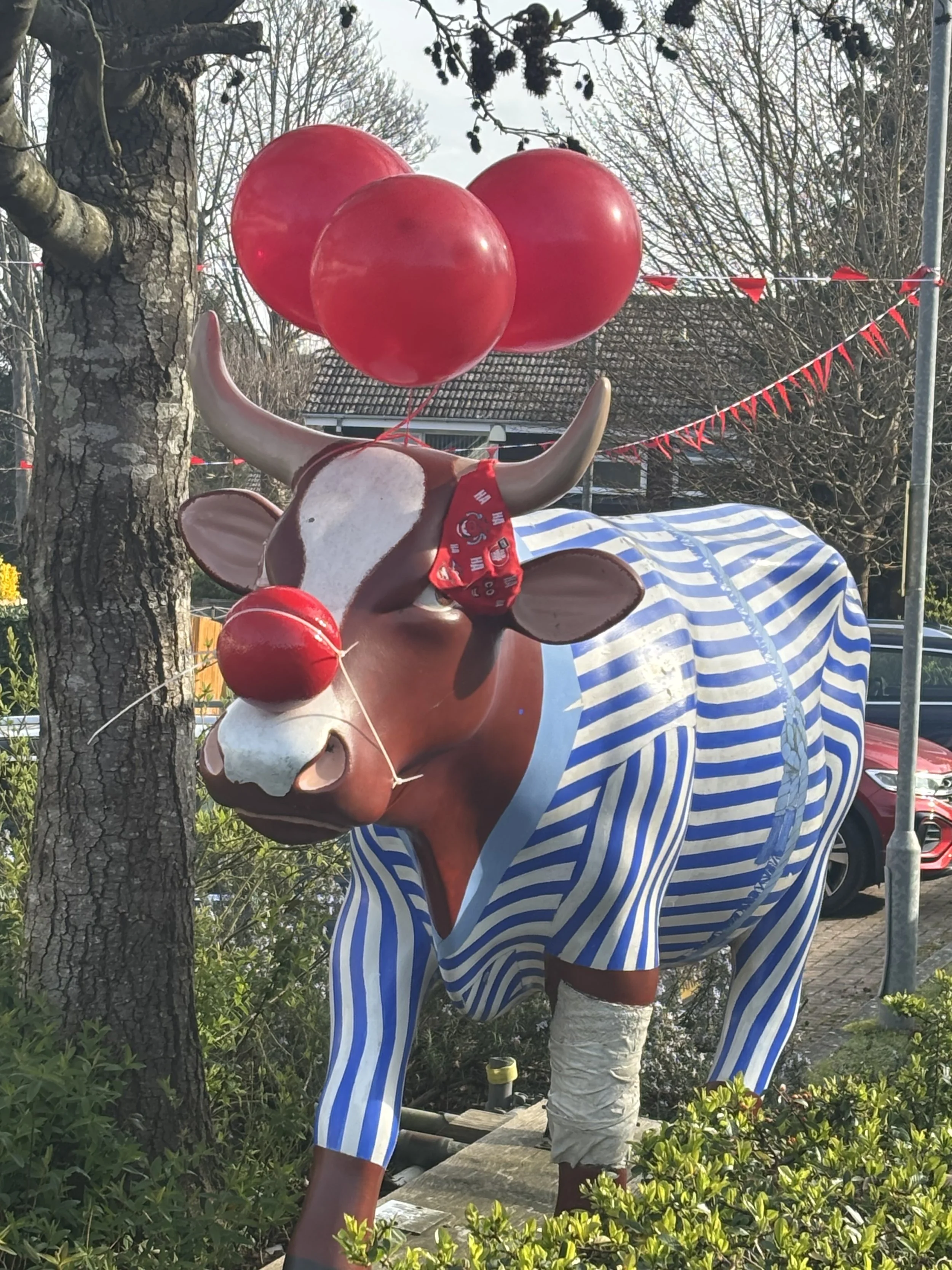 Red Nose Day celebrations 2026 supporting Comic Relief