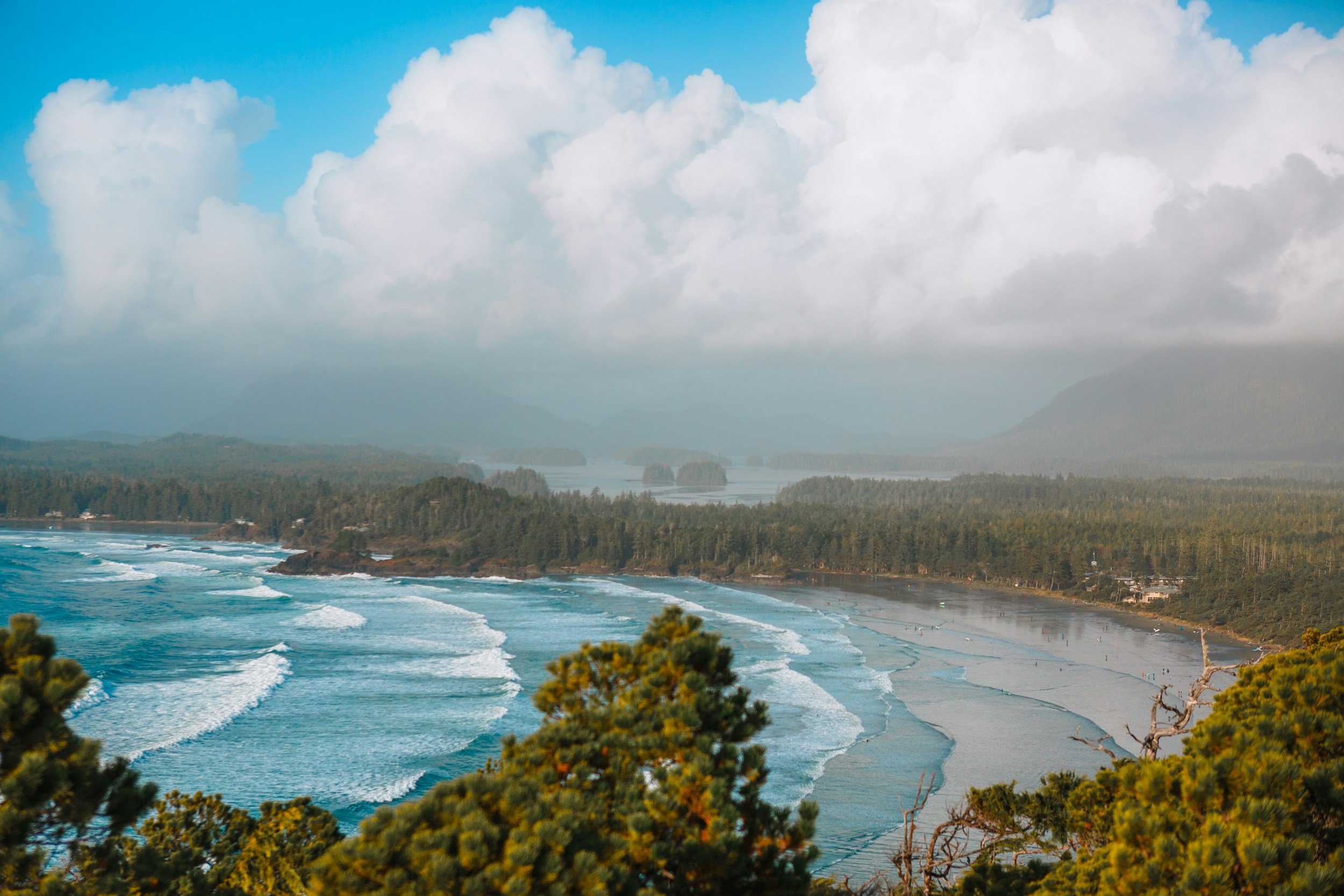 Fun Experiences to Do in Tofino