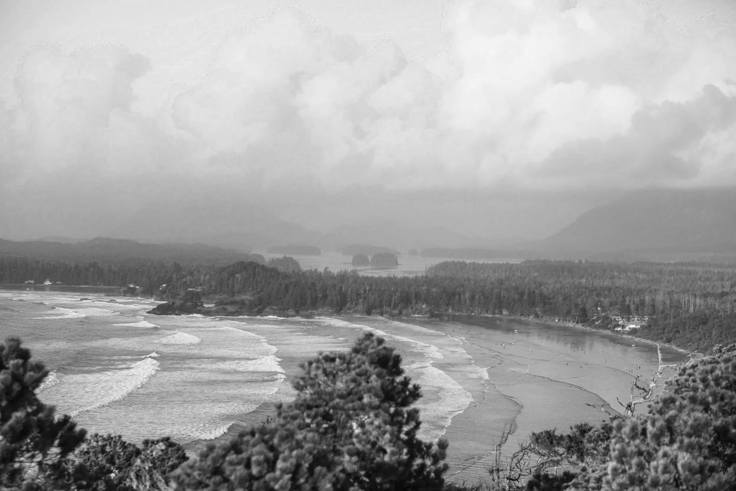 Fun Experiences to Do in Tofino