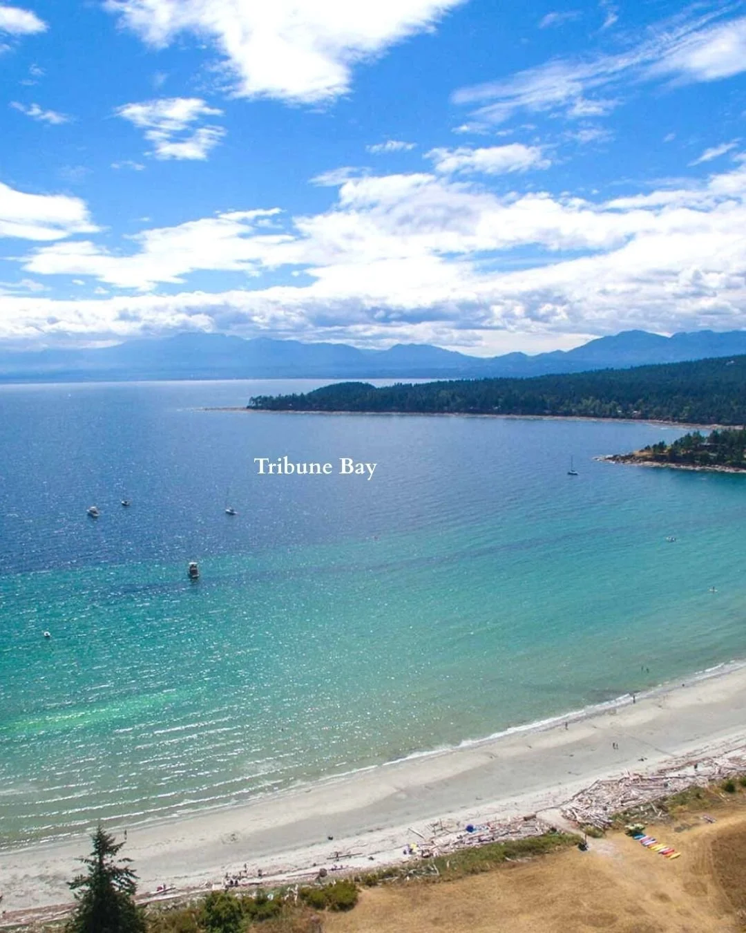 Tribune Bay.jpg