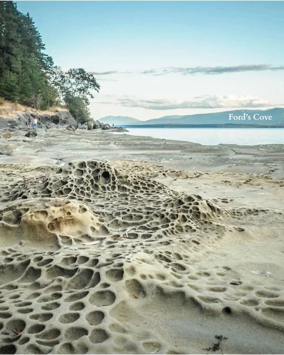 Ford’s Cove.jpg